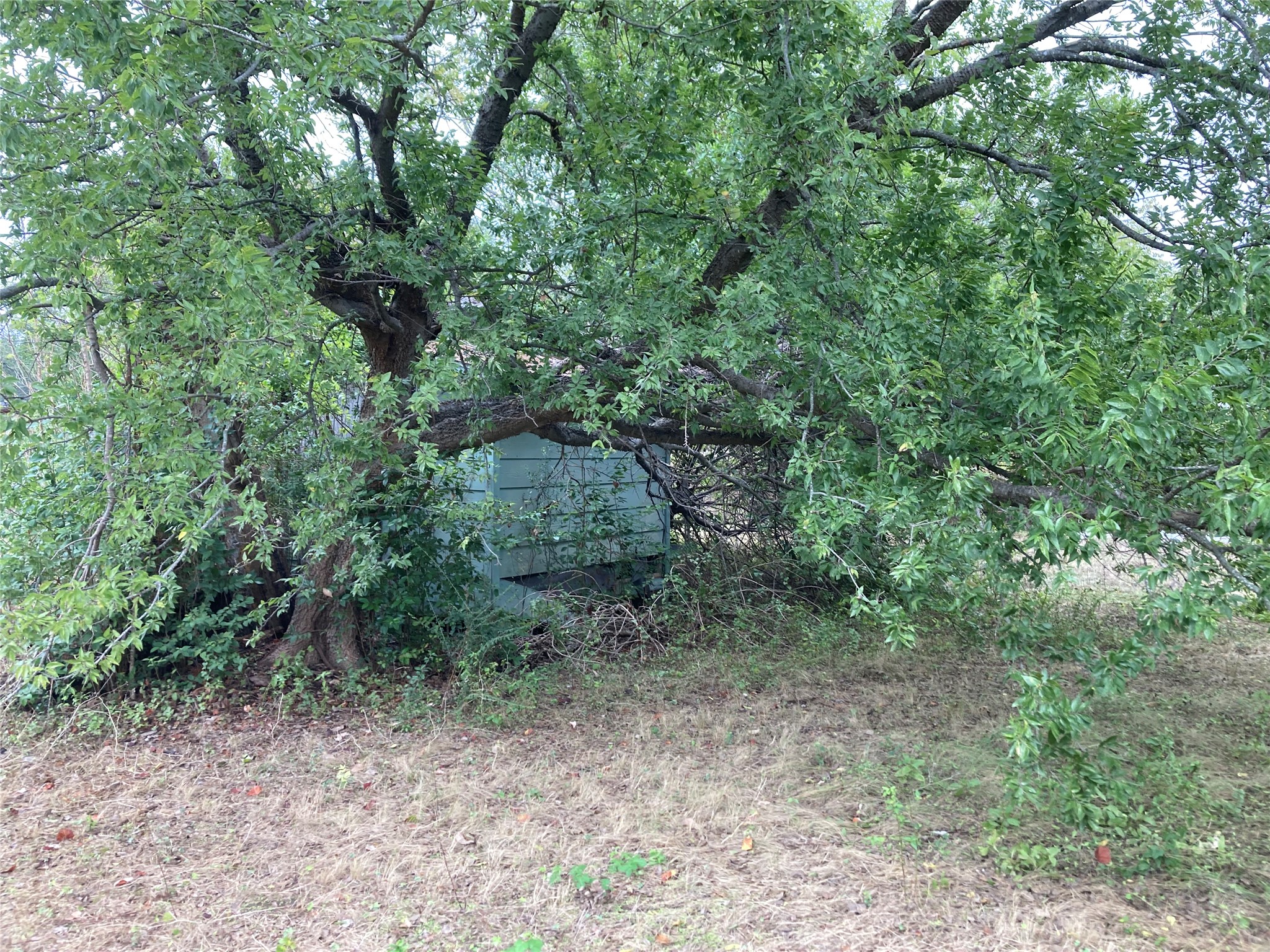 main property photo 12