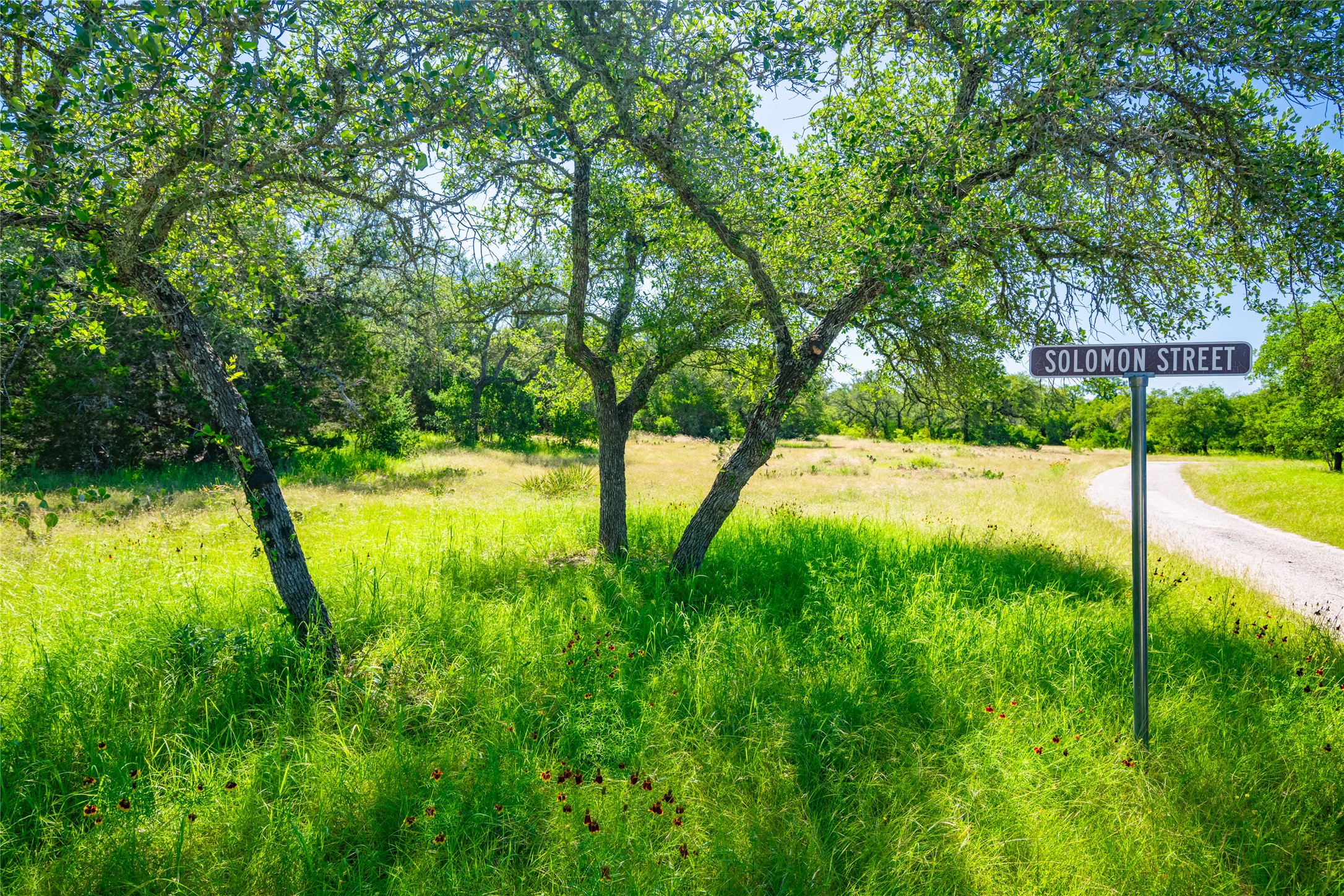 main property photo 31