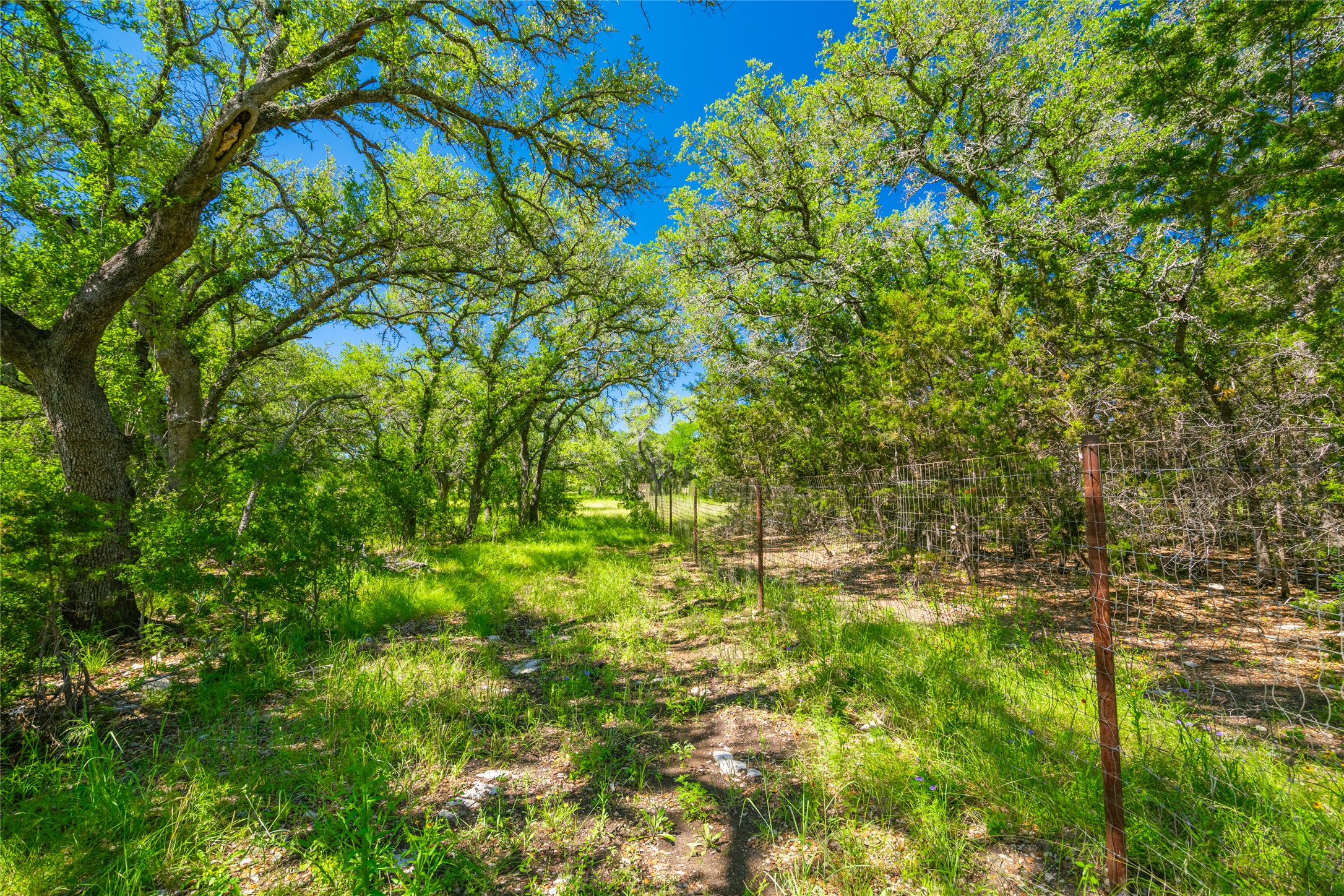 main property photo 33