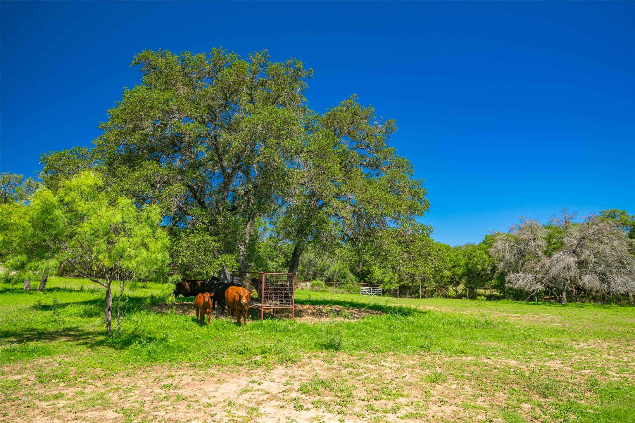 main property photo 36