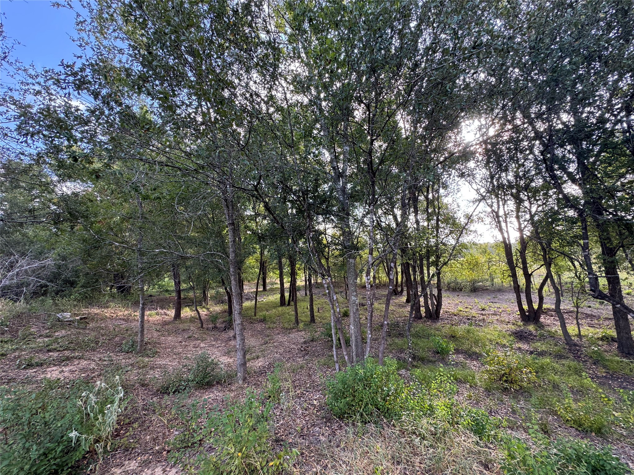 main property photo 18