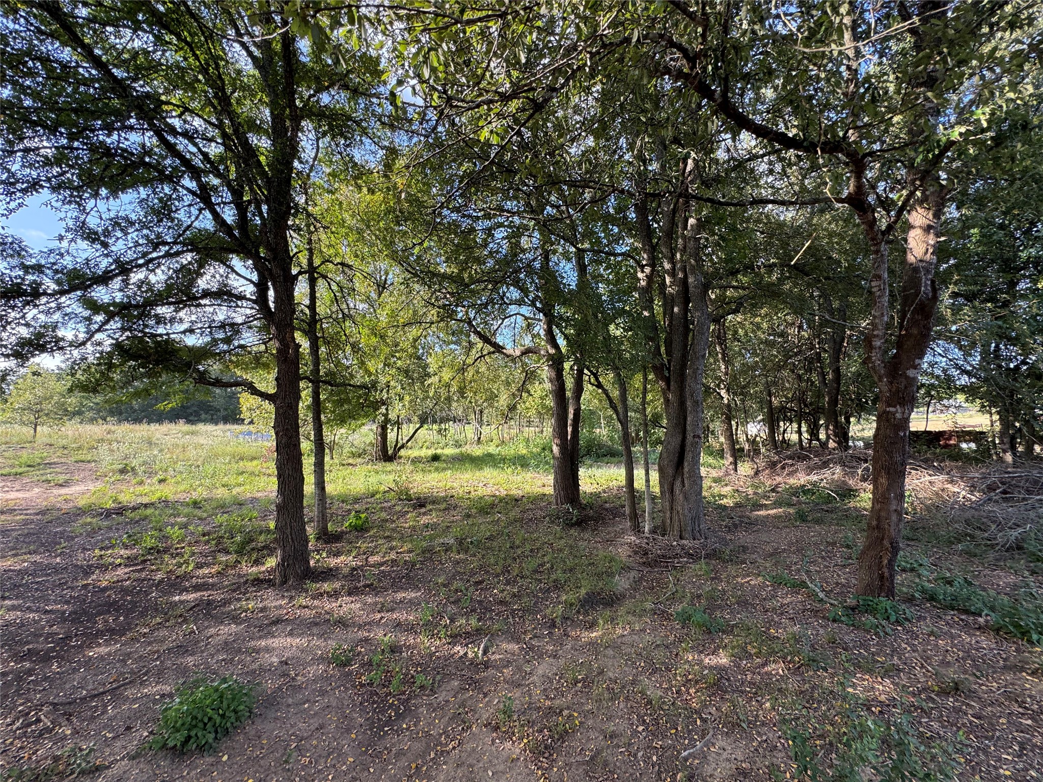 main property photo 19
