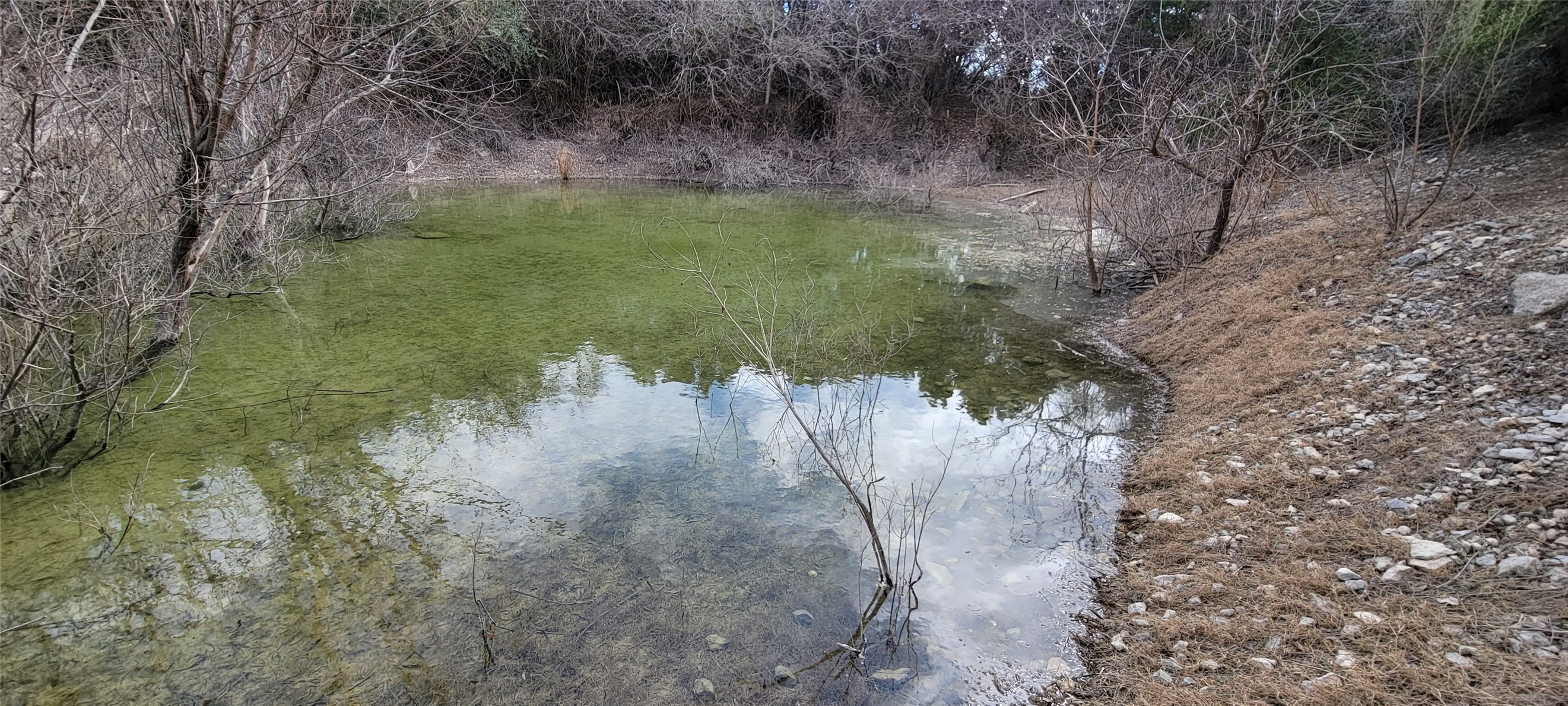 main property photo 14
