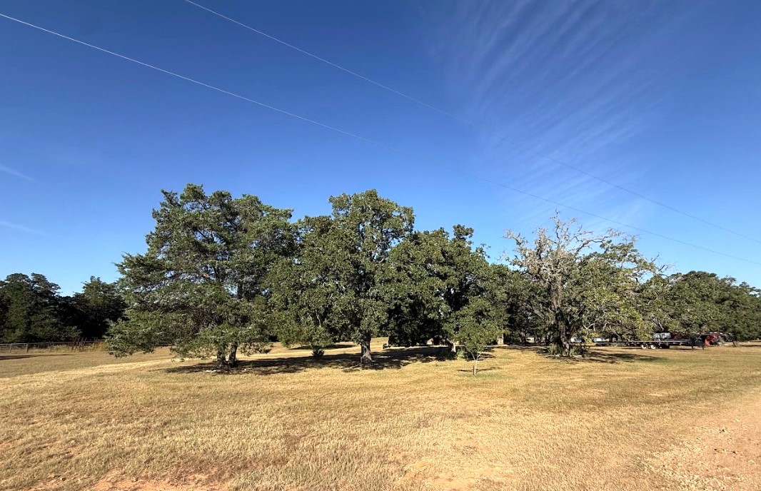 main property photo 11