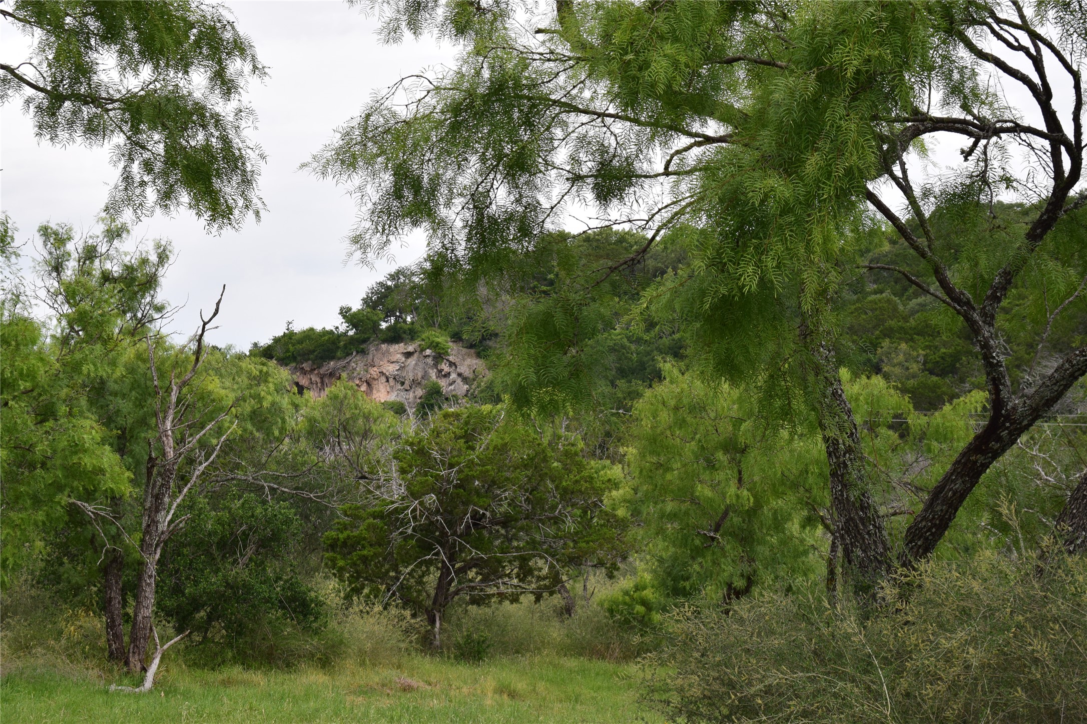 main property photo 10