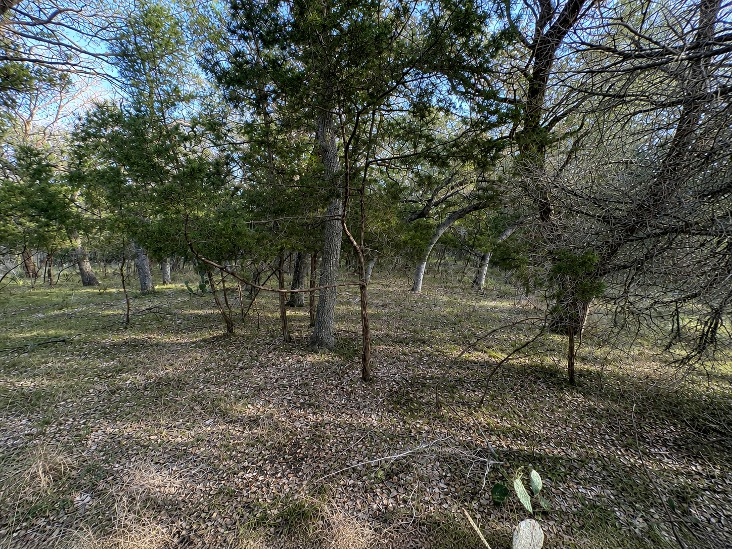 main property photo 10