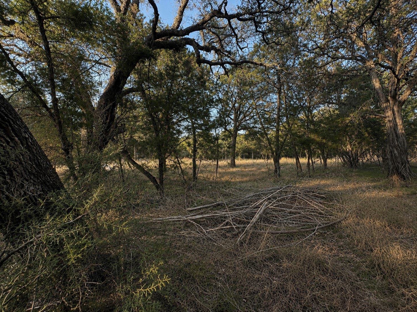 main property photo 9