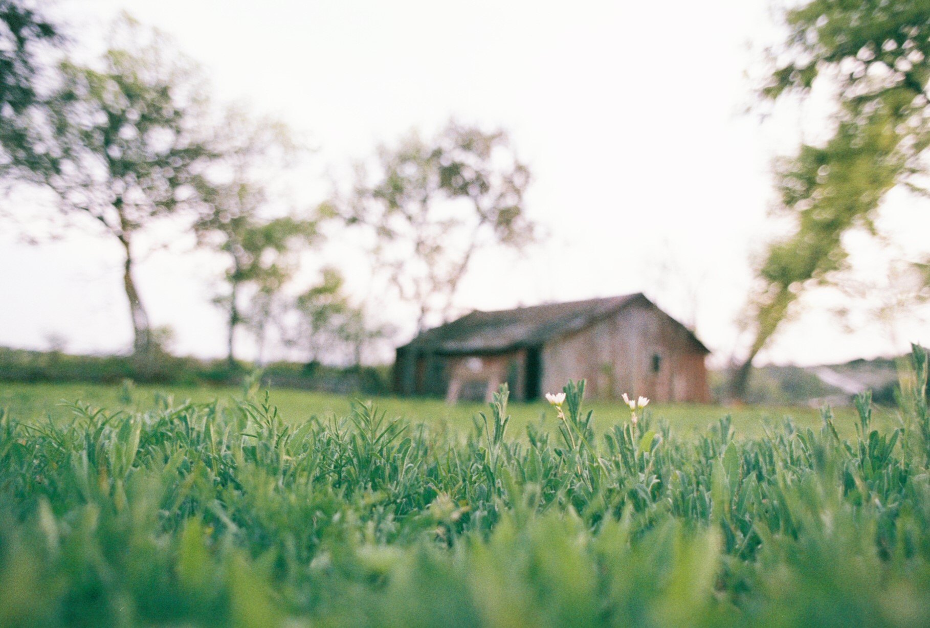 main property photo 32