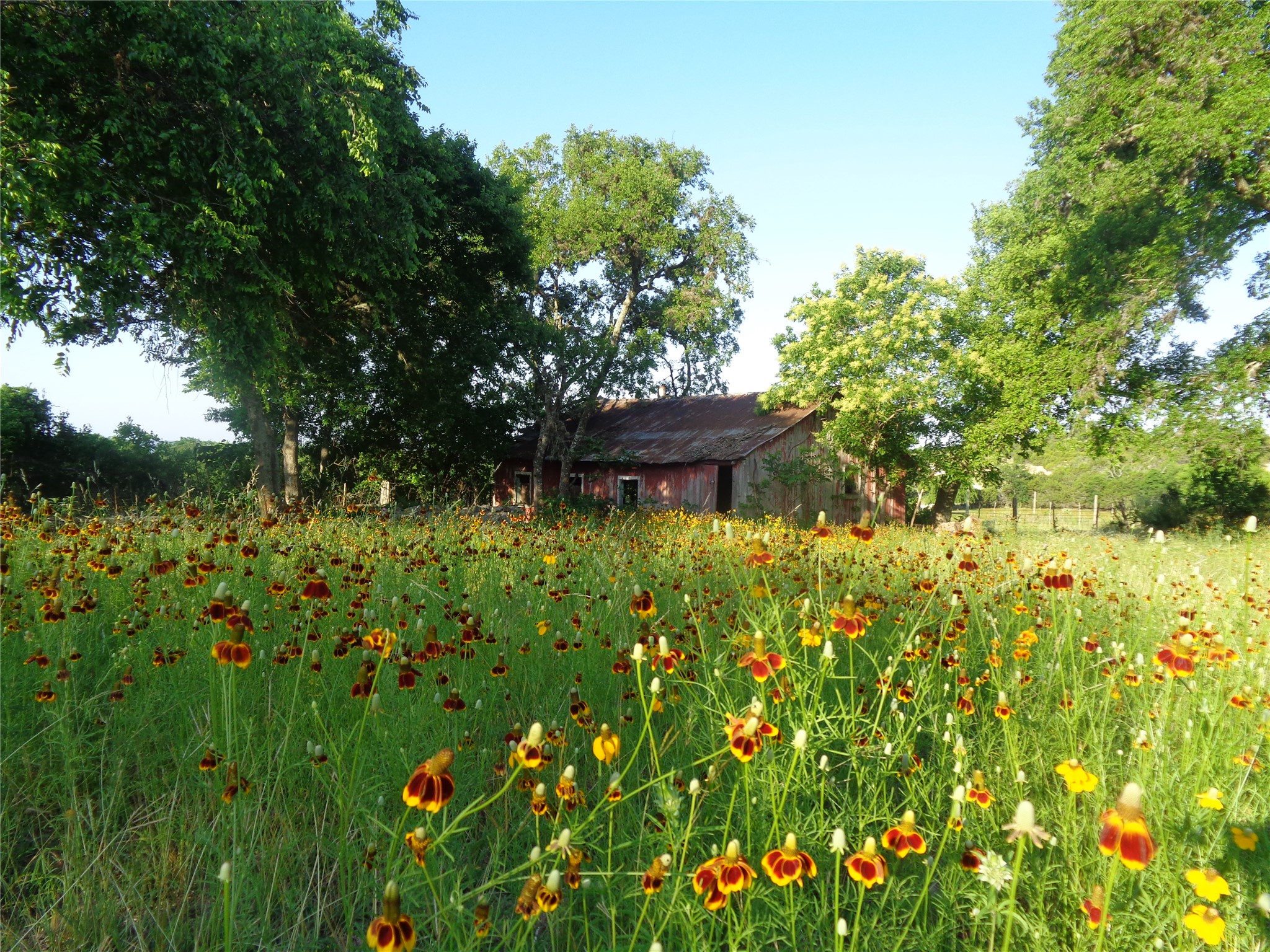 main property photo 35