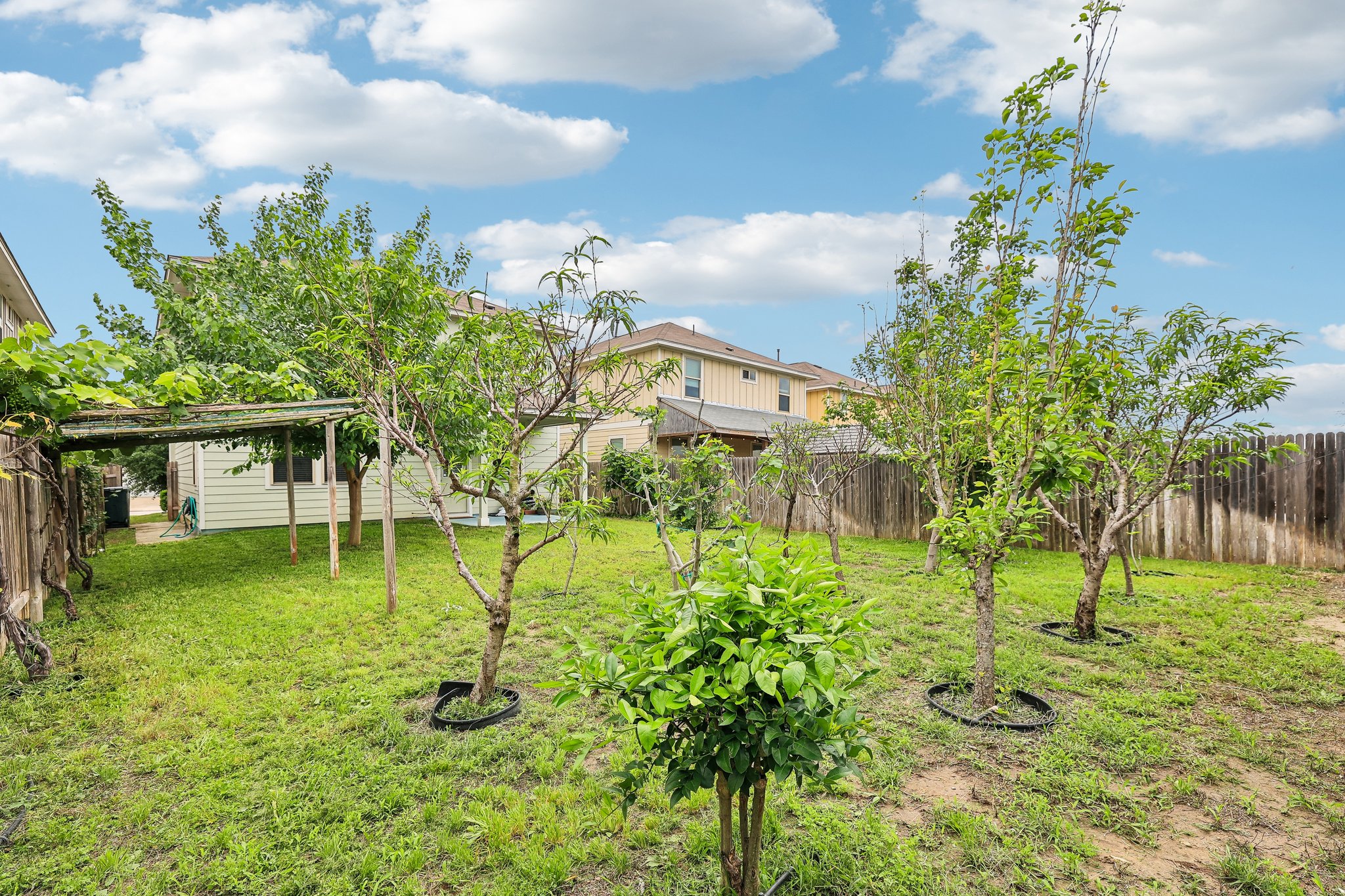 main property photo 37