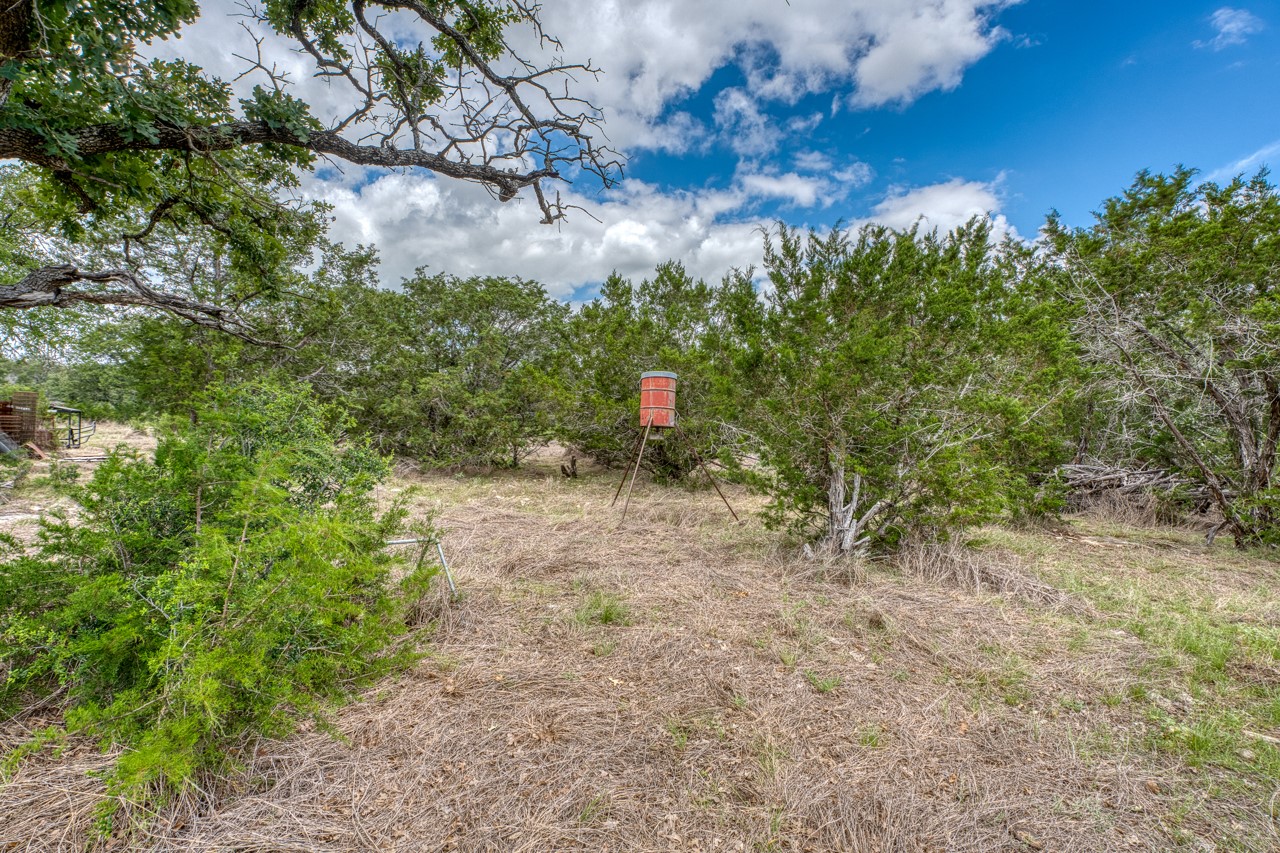 main property photo 39