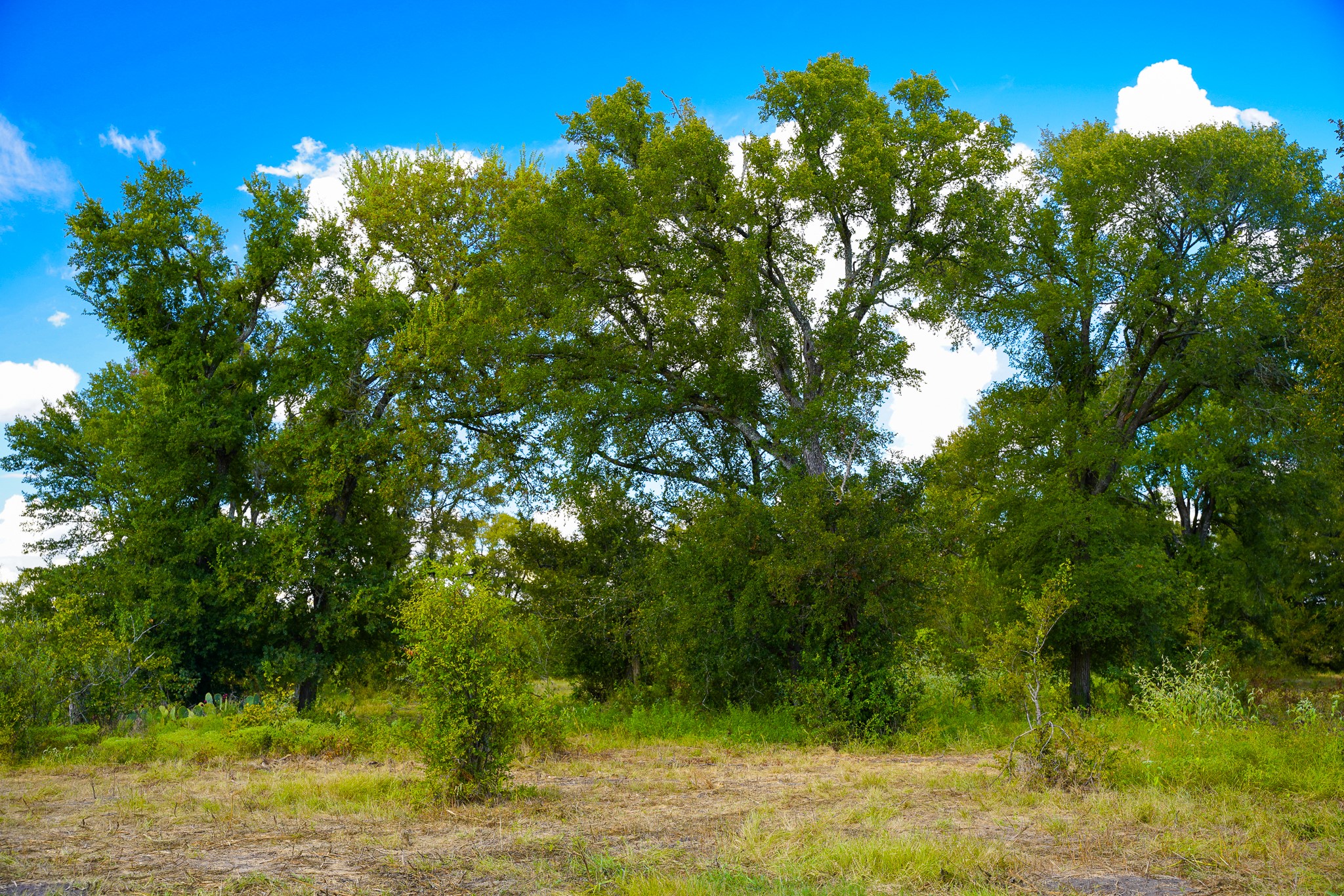 main property photo 26