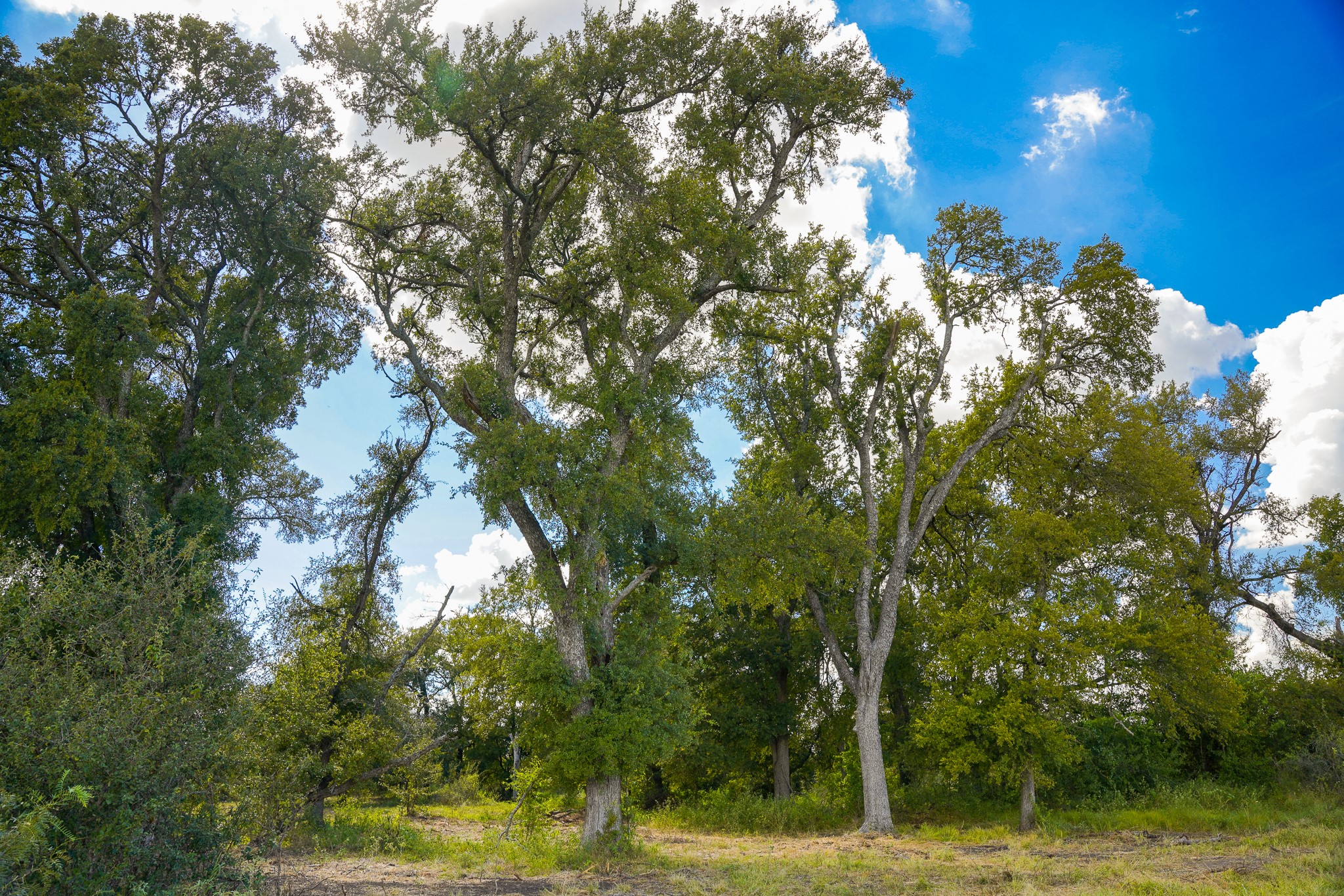 main property photo 27