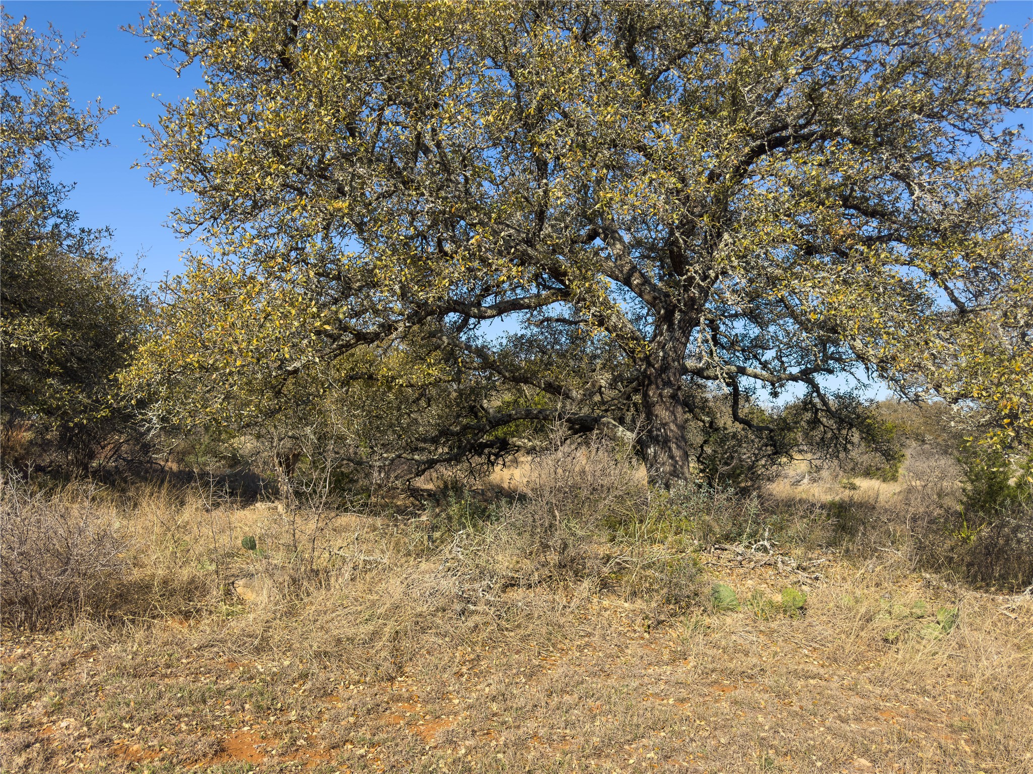 main property photo 26