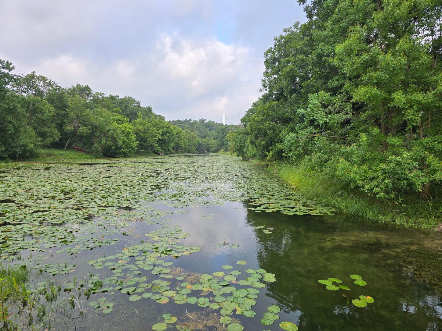 main property photo 15