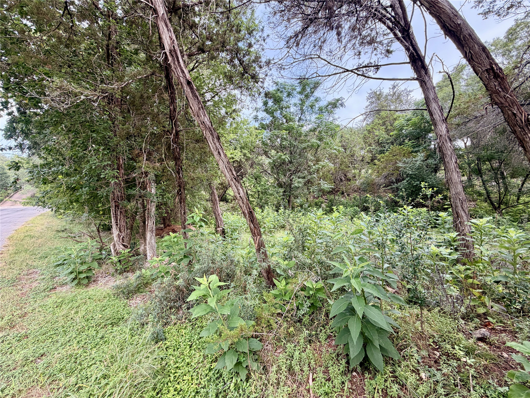main property photo 6