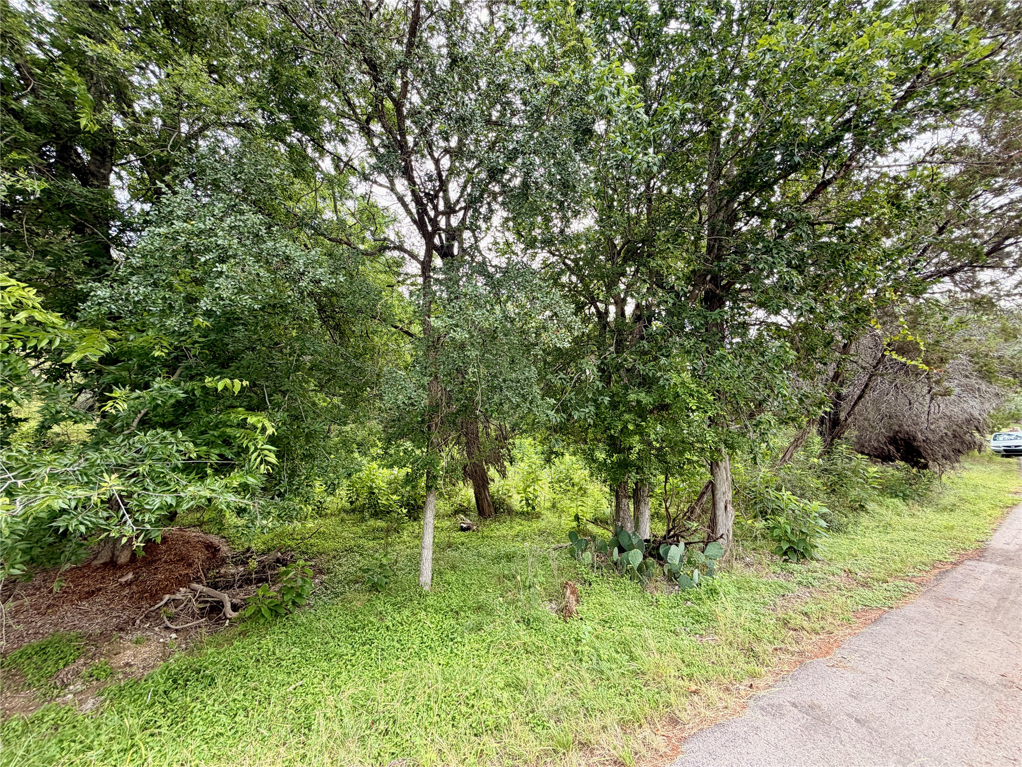 main property photo 8