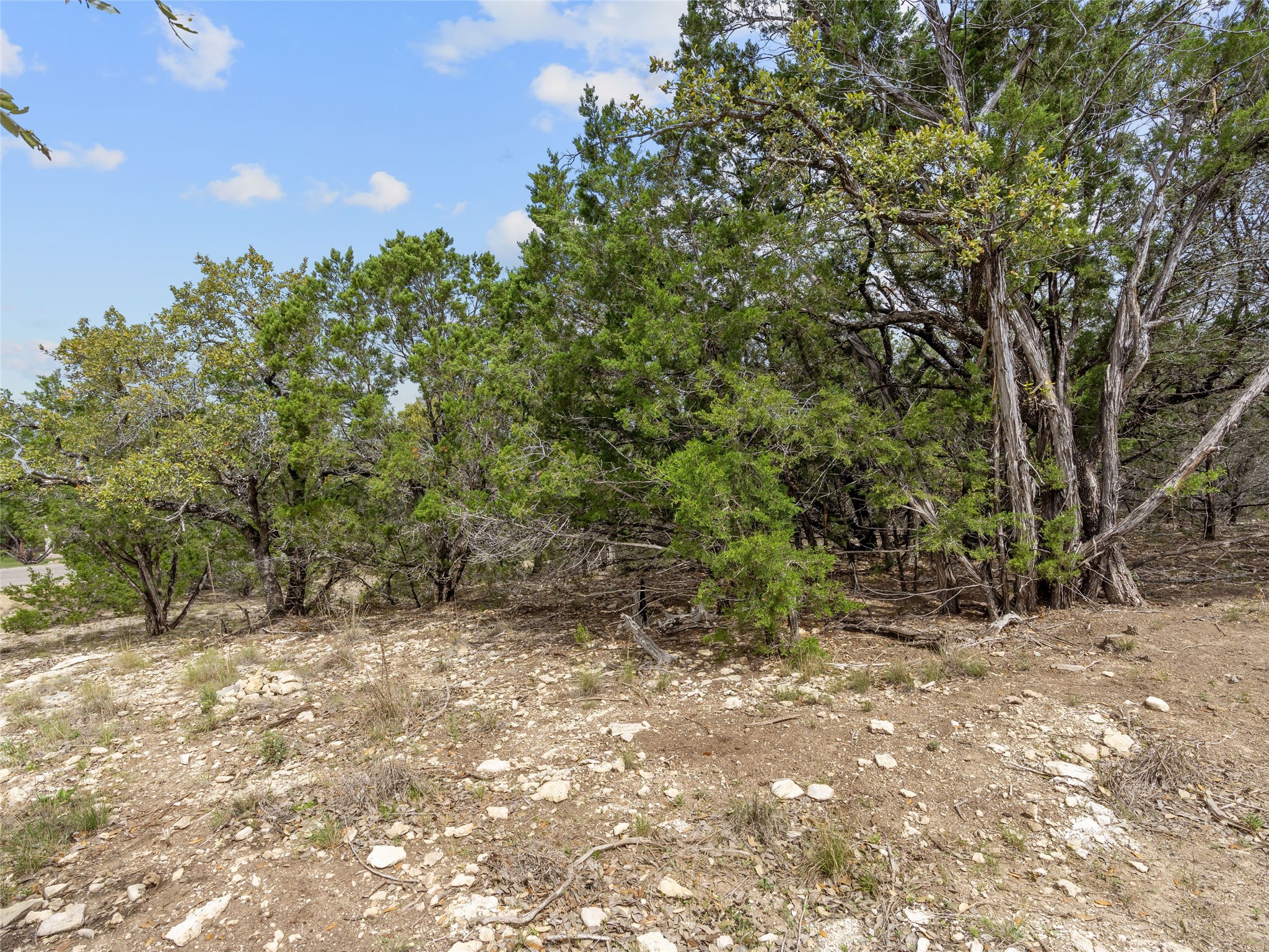 main property photo 18