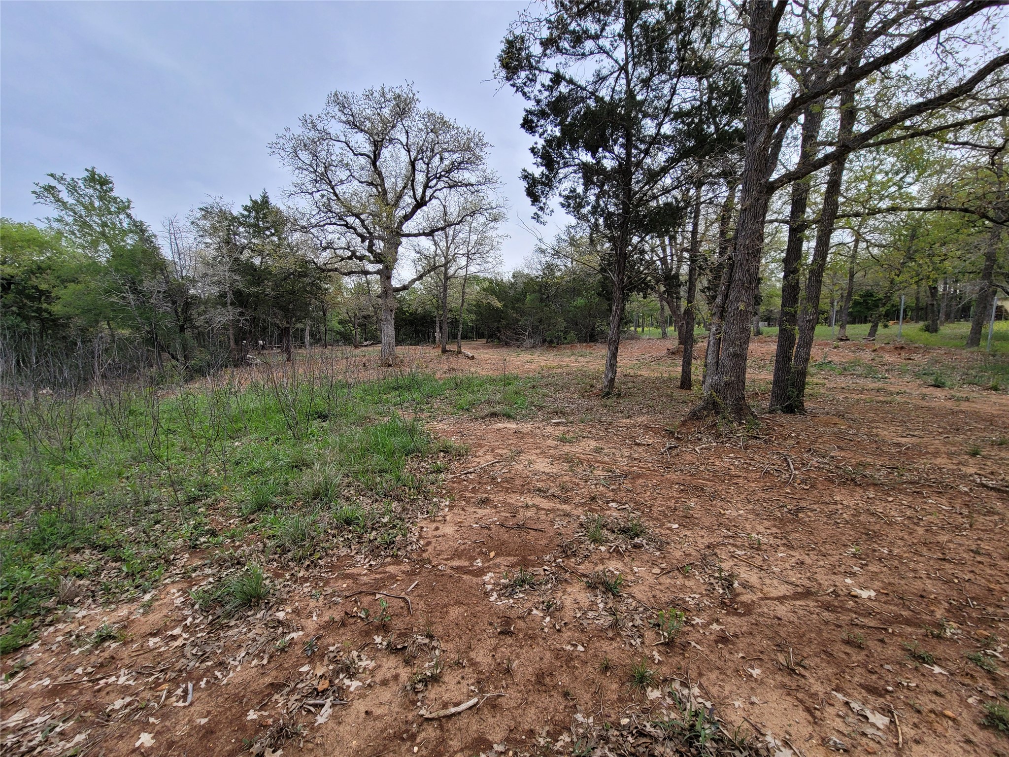 main property photo 13