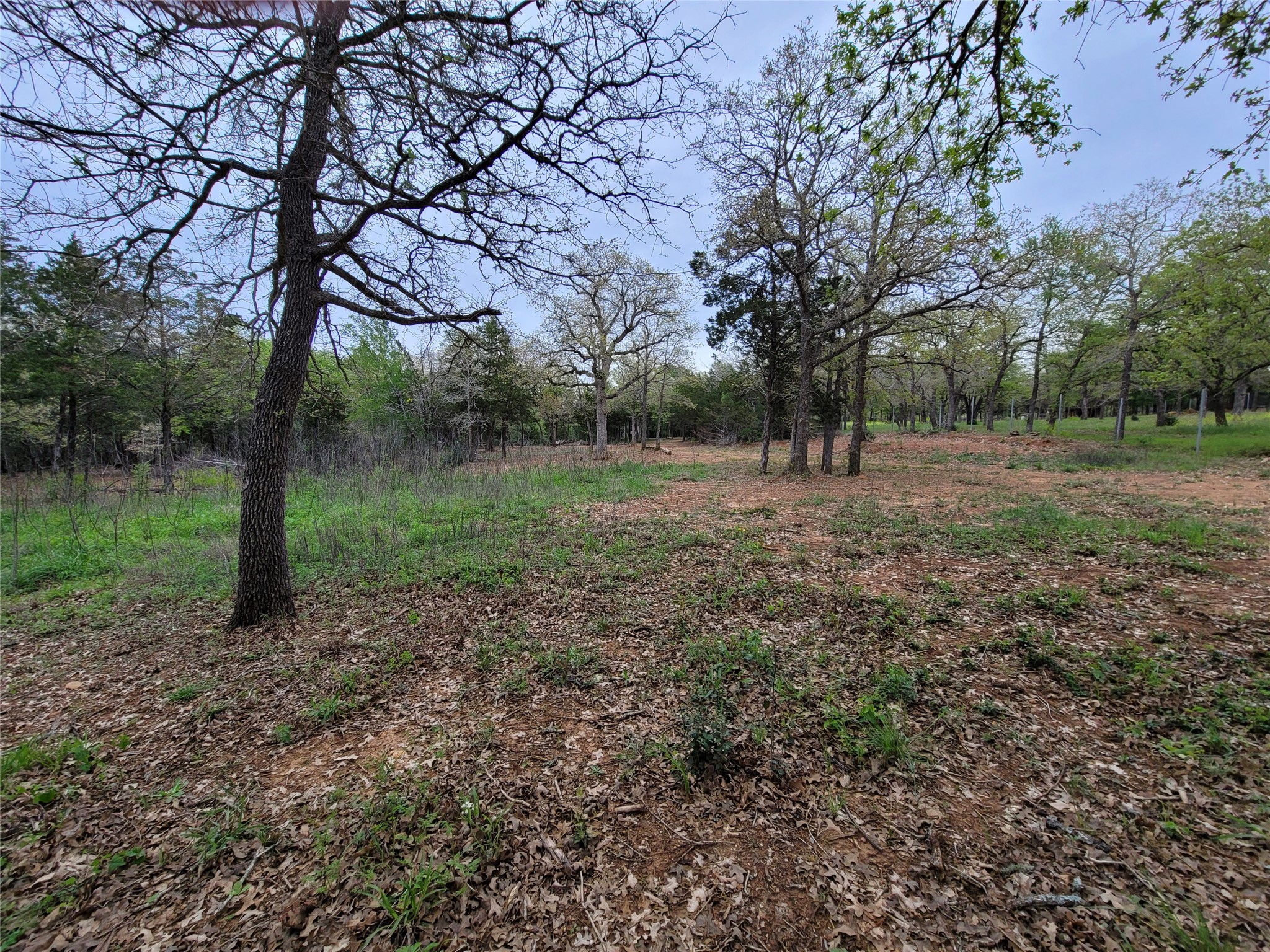 main property photo 14