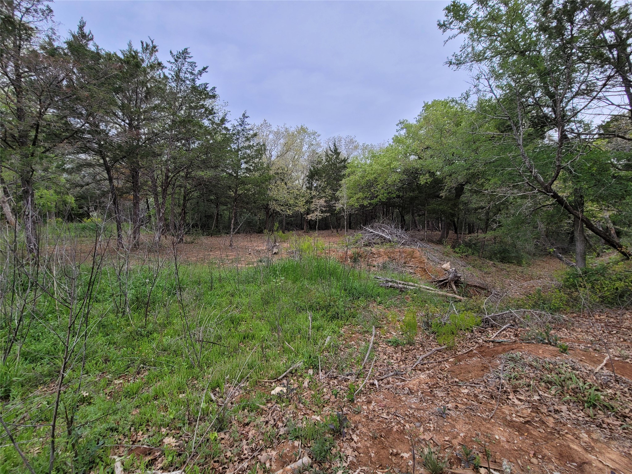main property photo 15