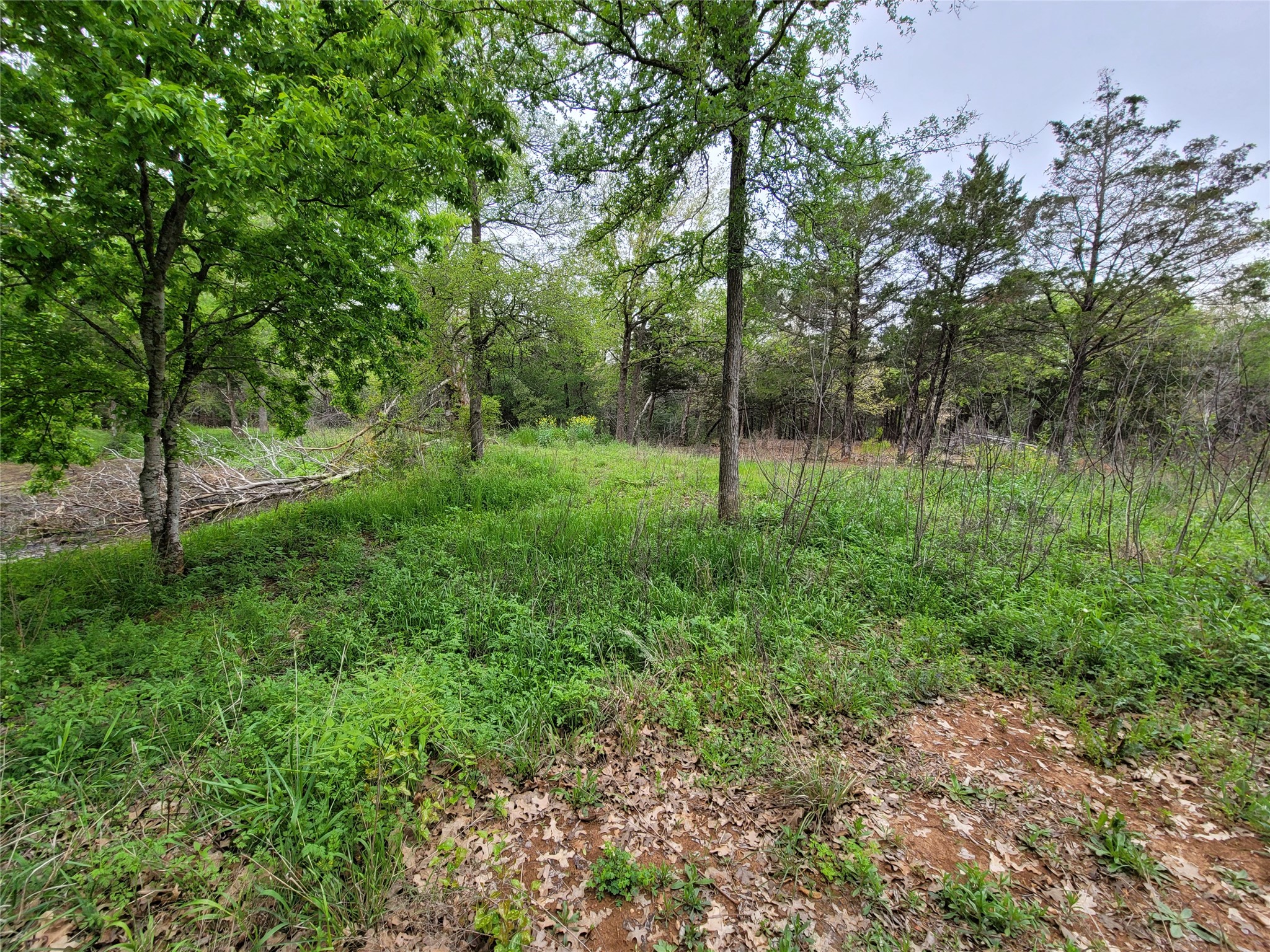 main property photo 17