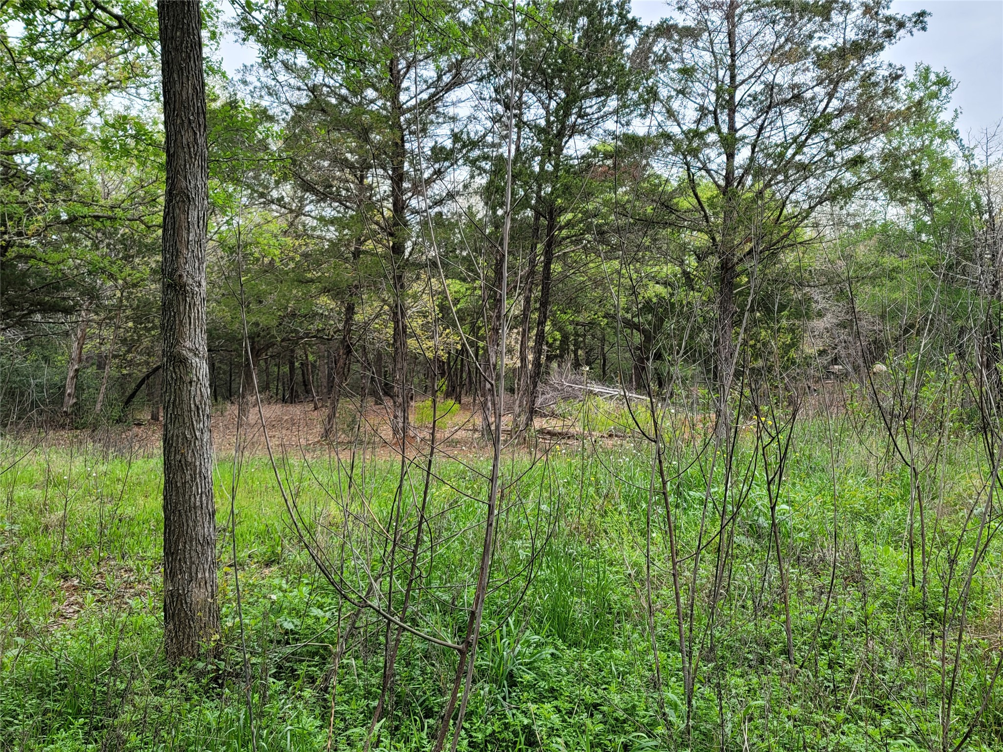 main property photo 18