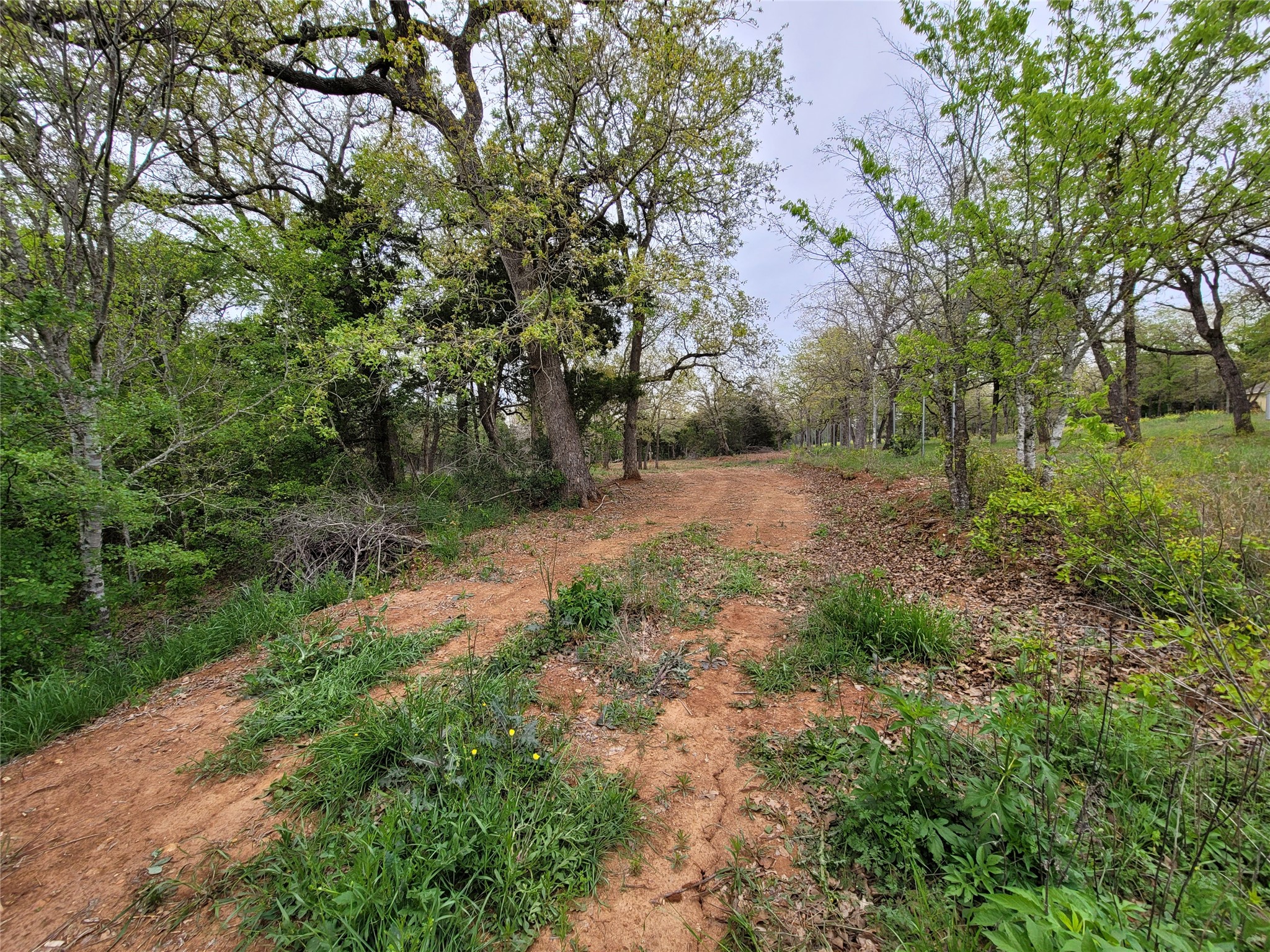main property photo 19