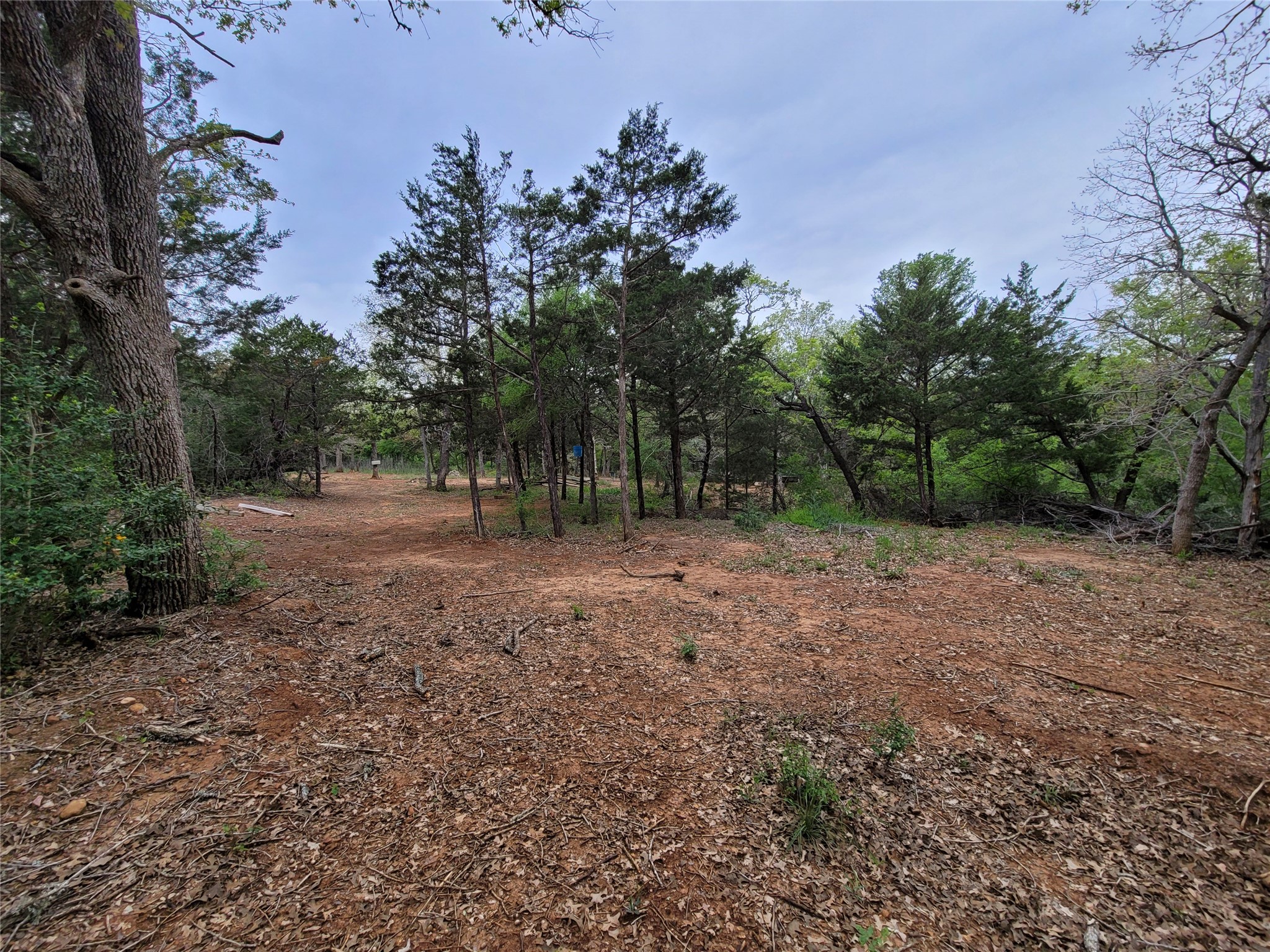 main property photo 8