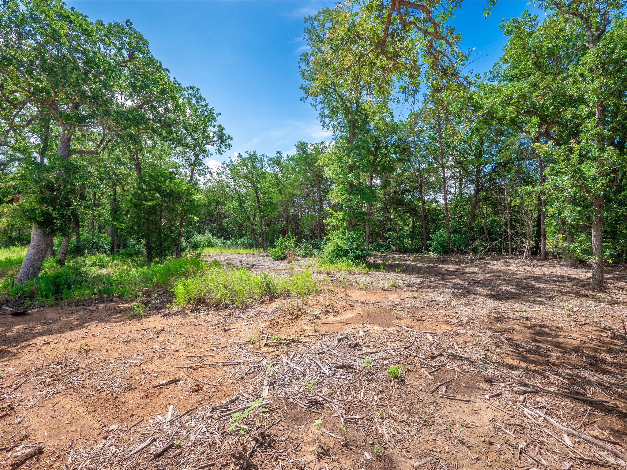 main property photo 28
