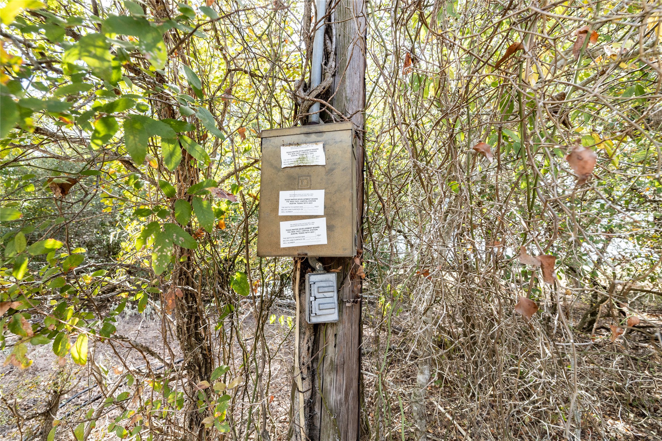 main property photo 23