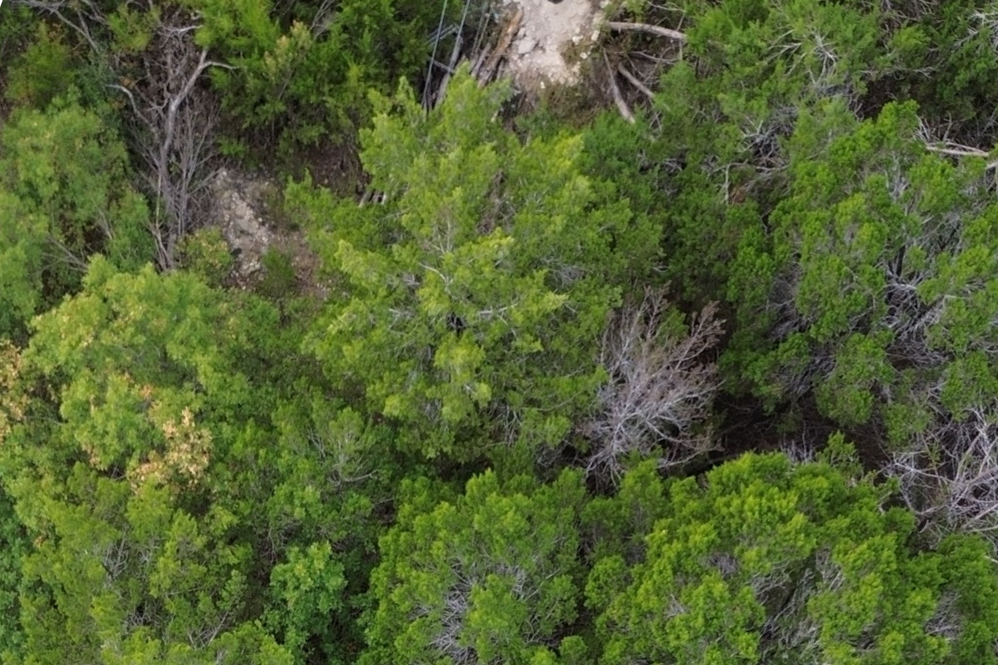 main property photo 11