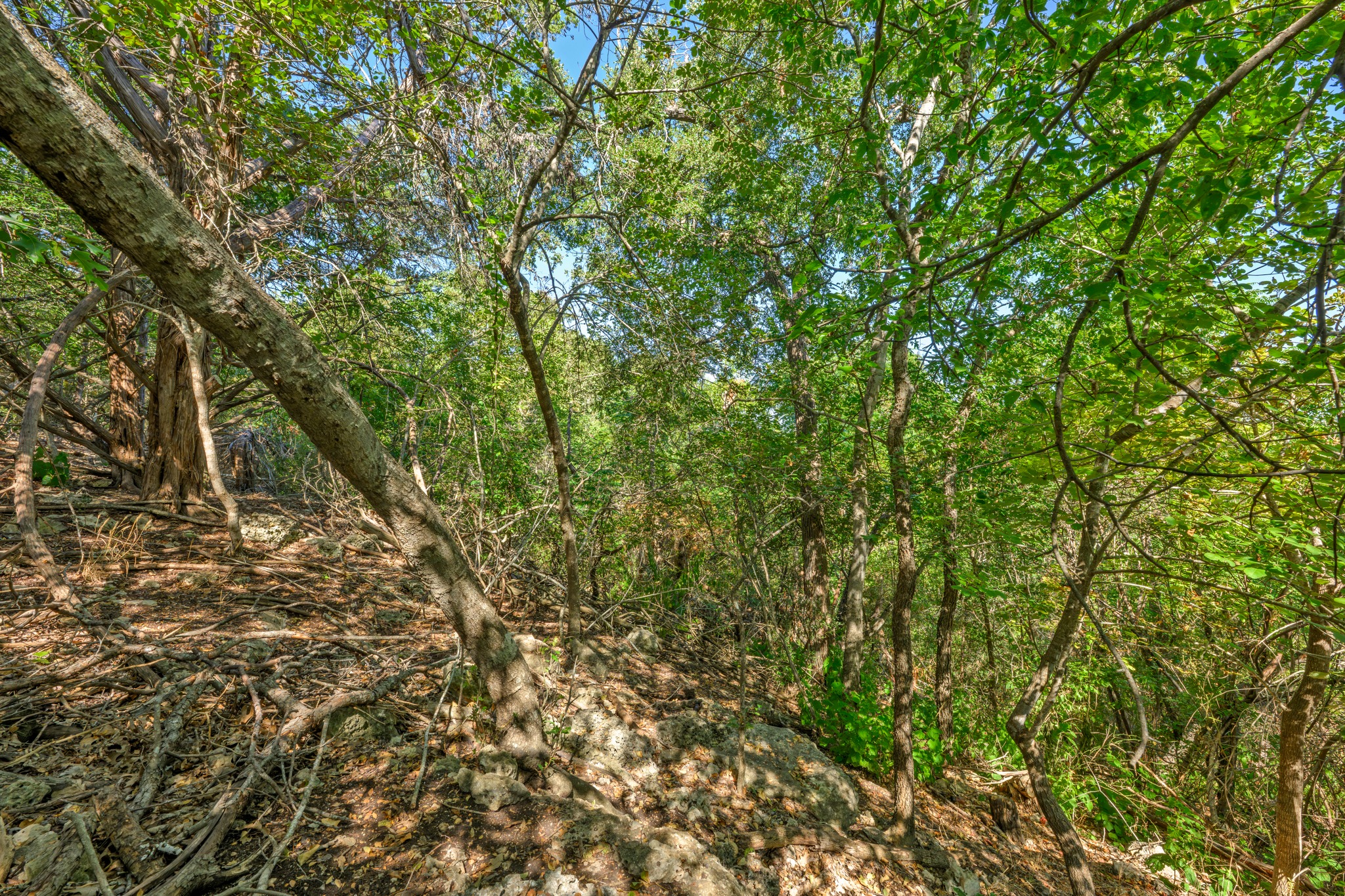 main property photo 11