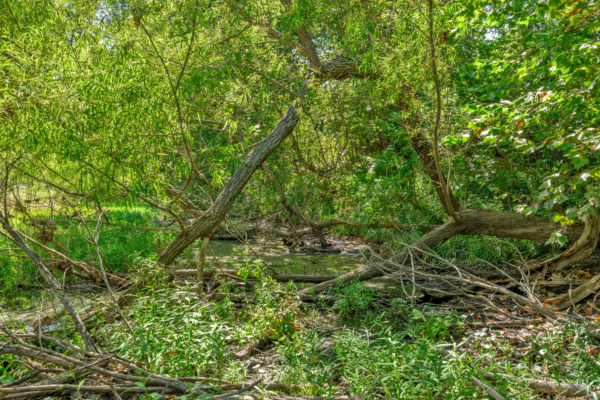 main property photo 13
