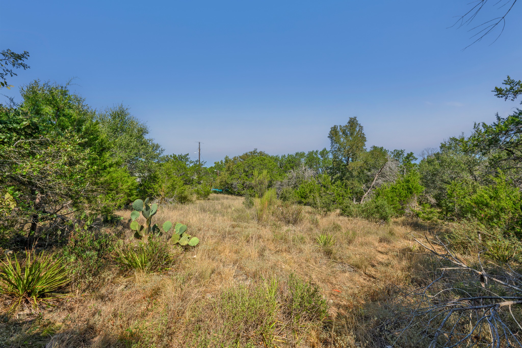 main property photo 26