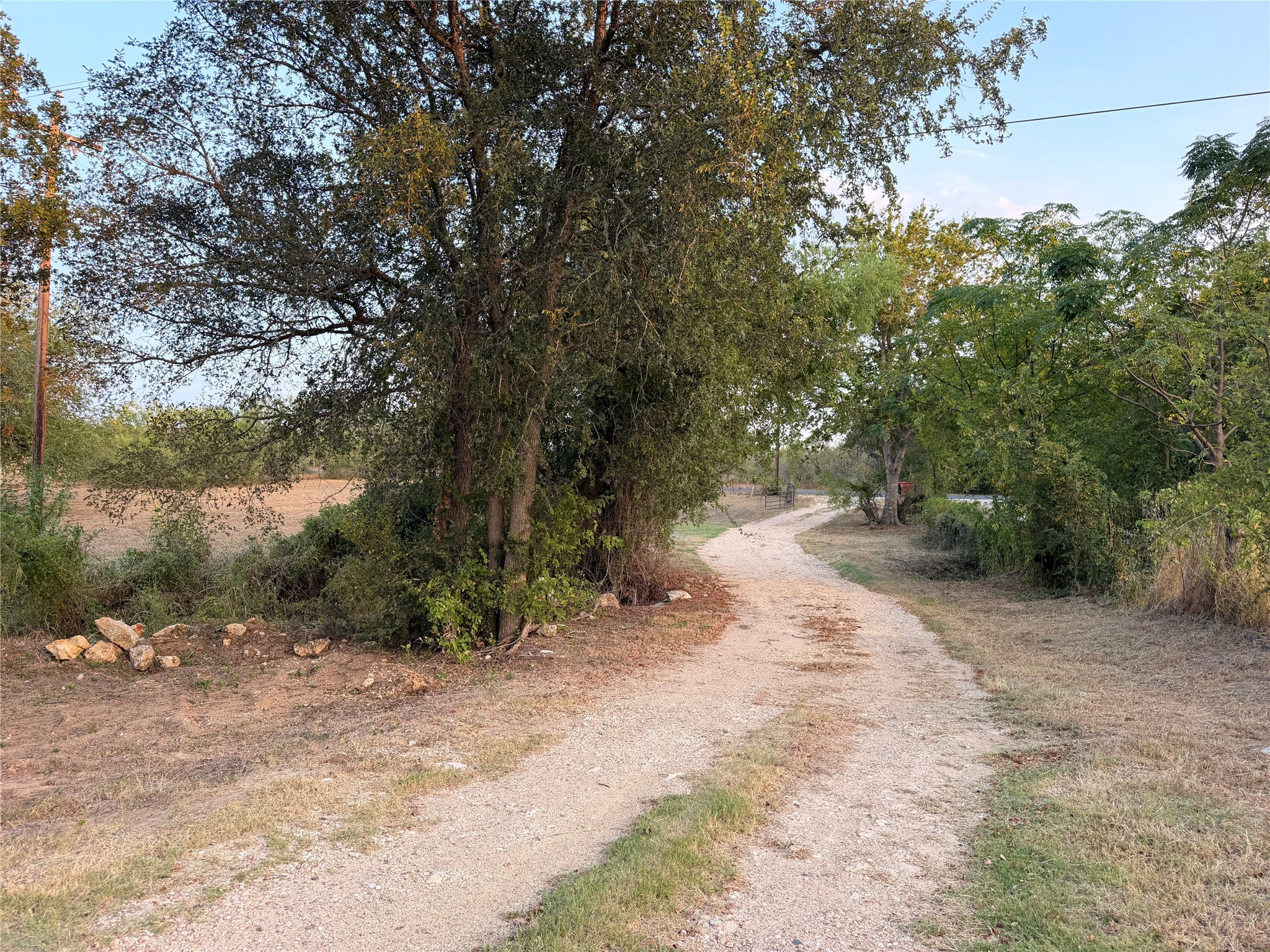 main property photo 9