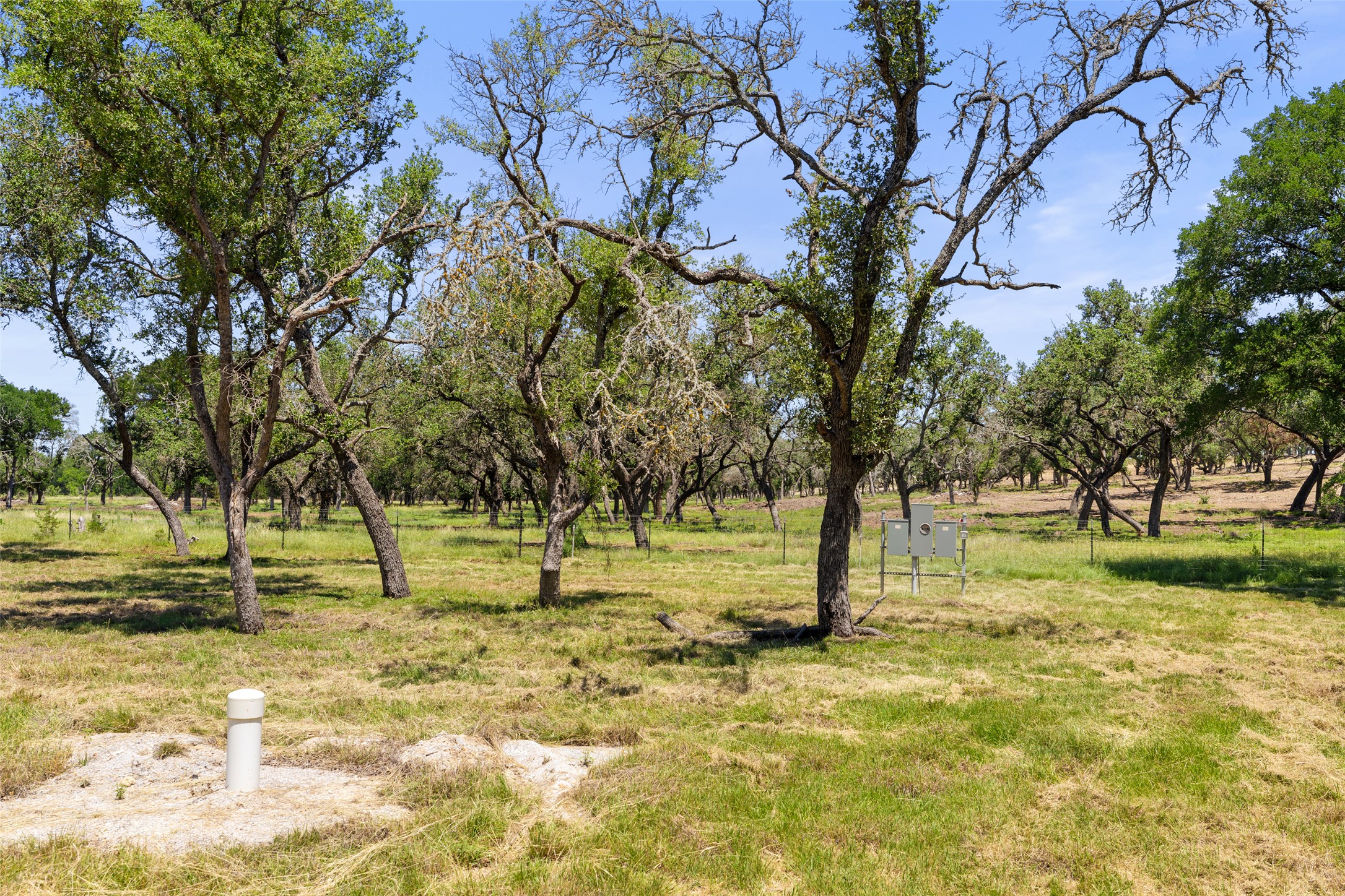 main property photo 8