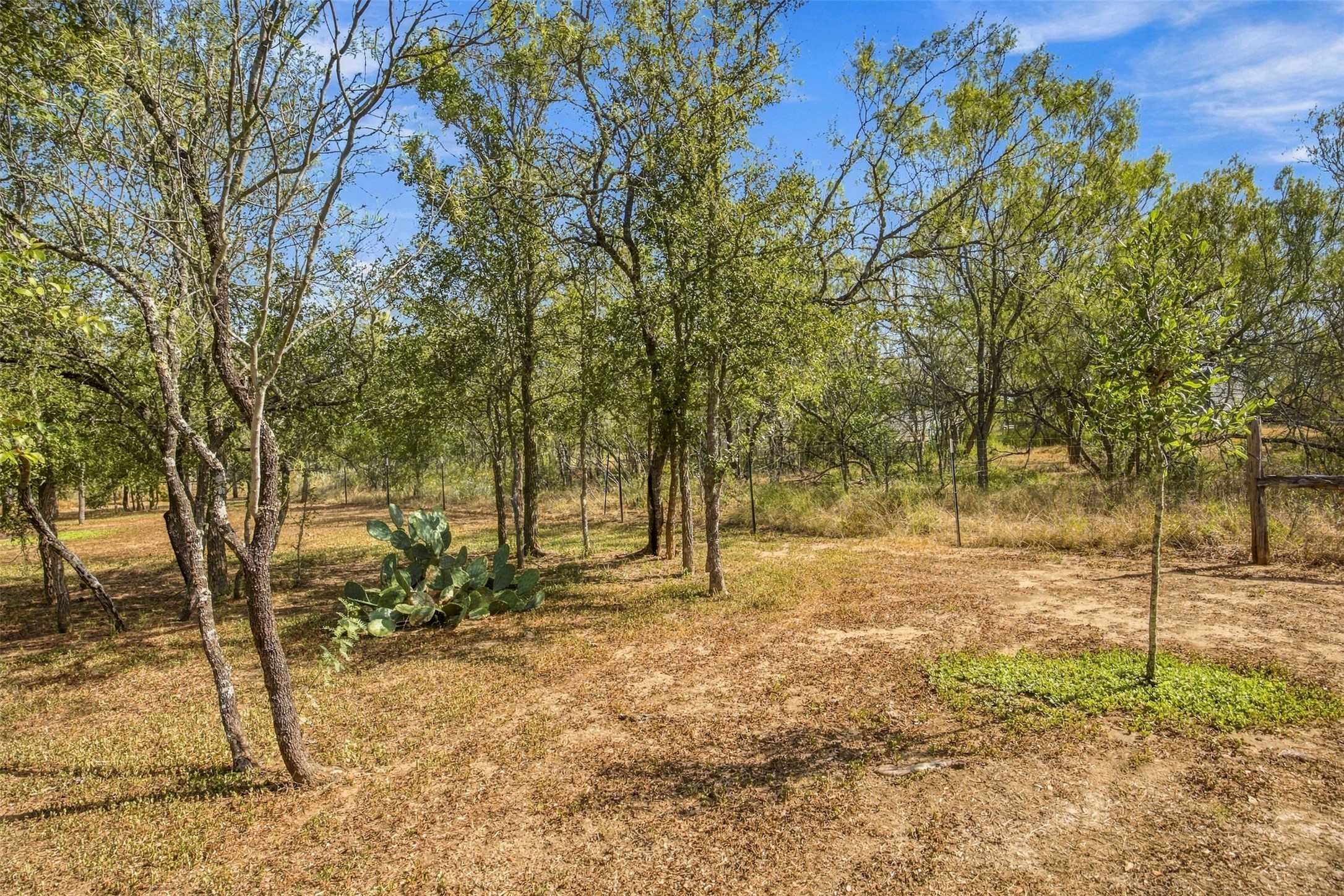 main property photo 25