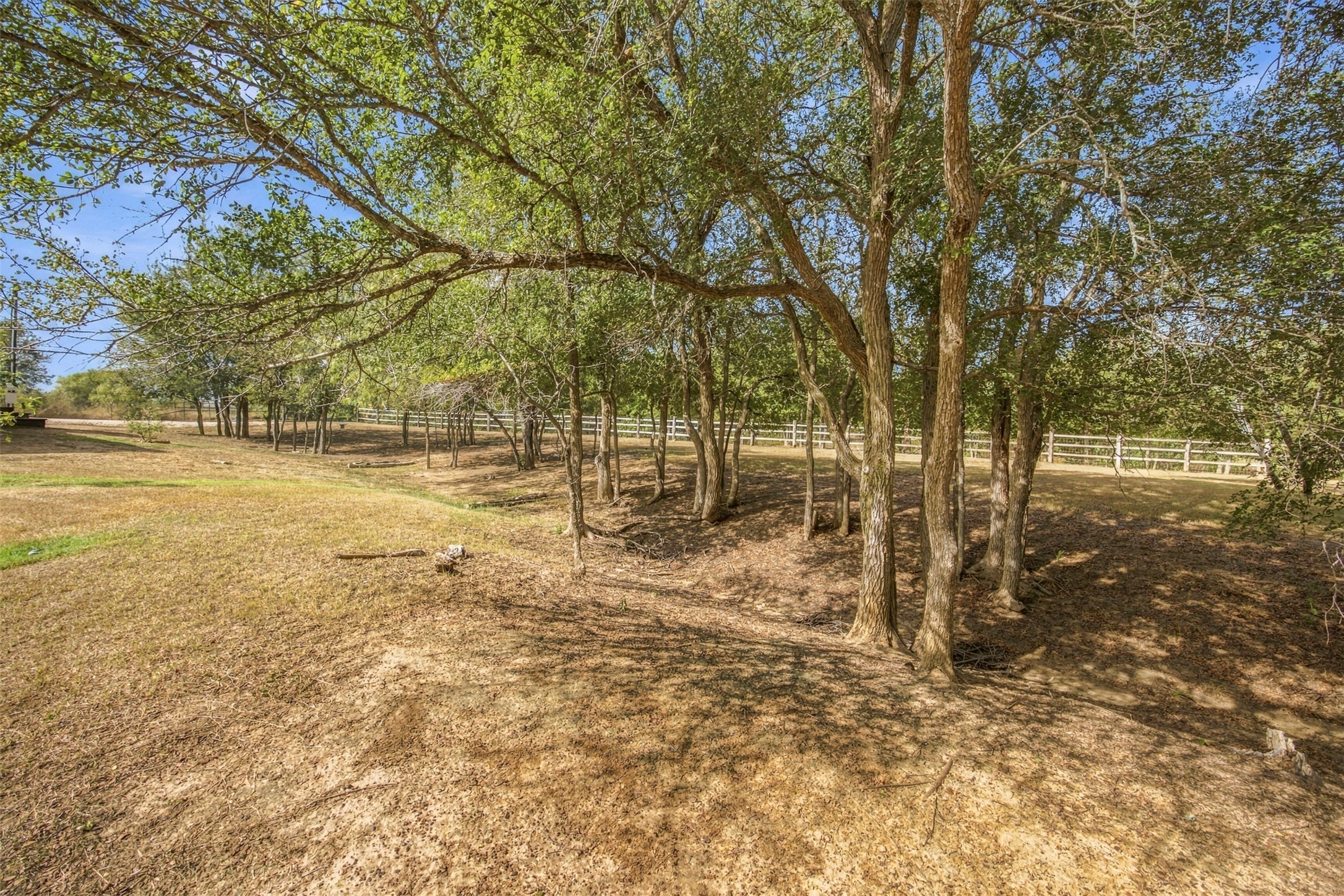 main property photo 28