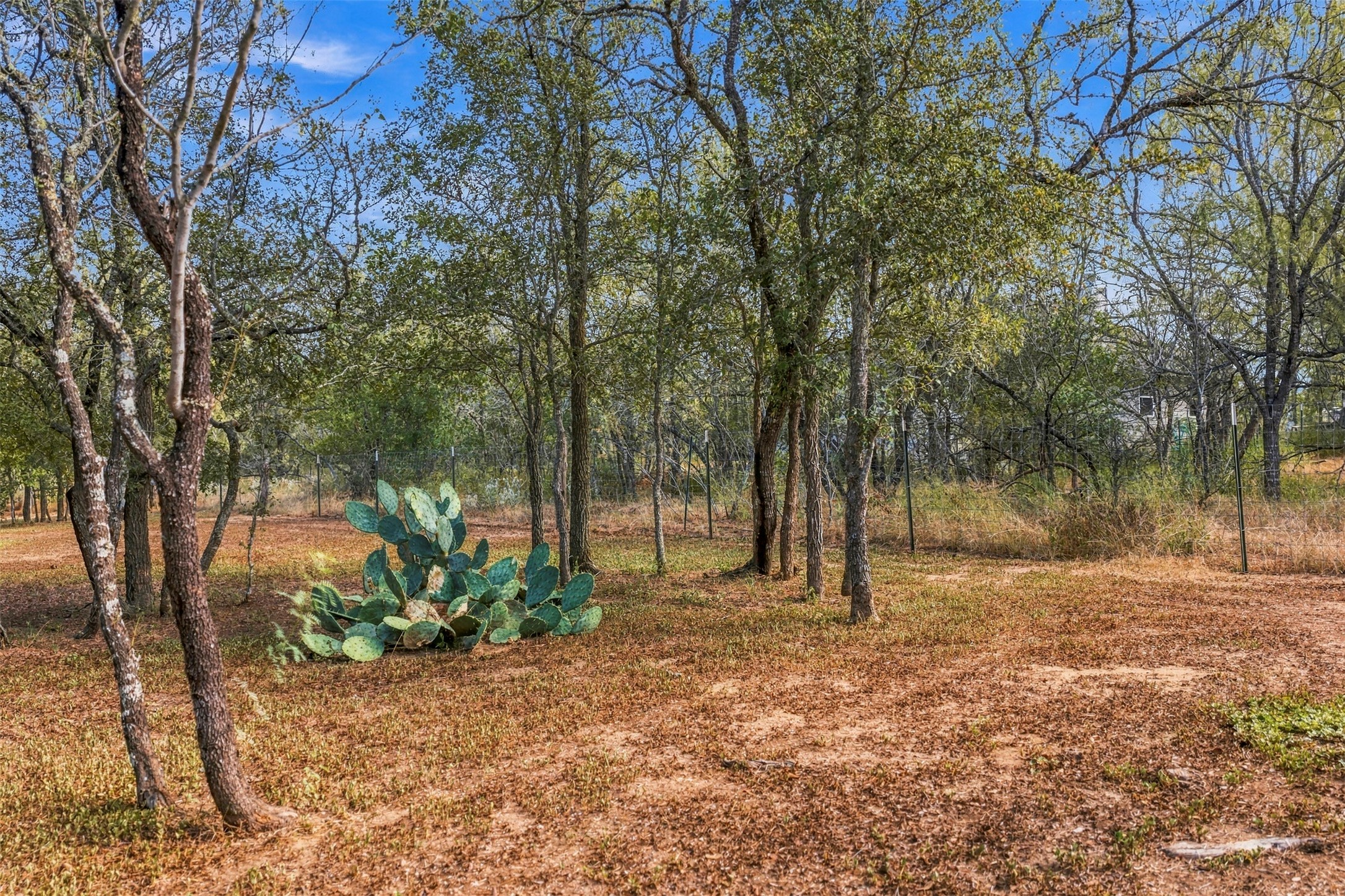 main property photo 29