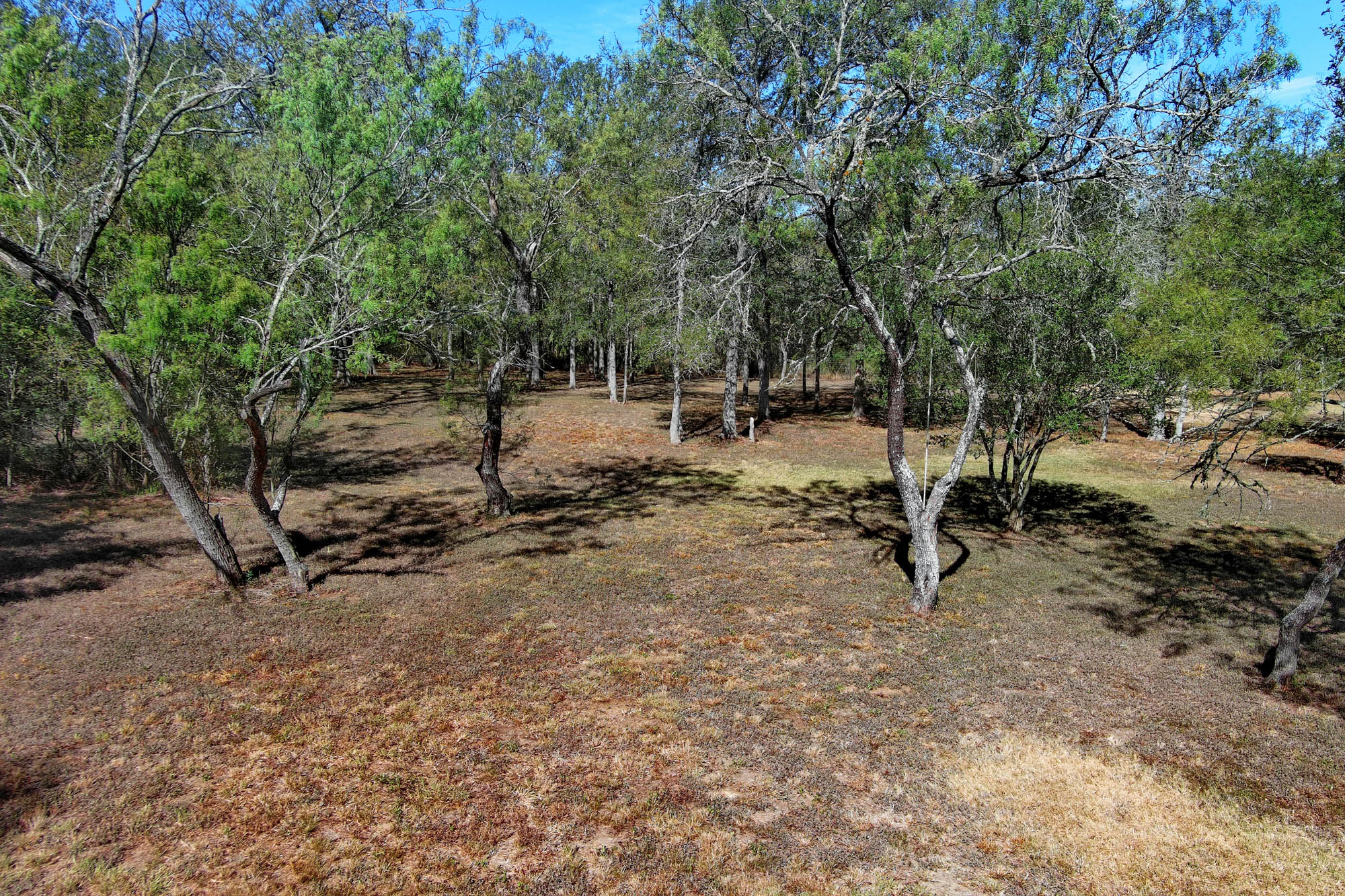 main property photo 32
