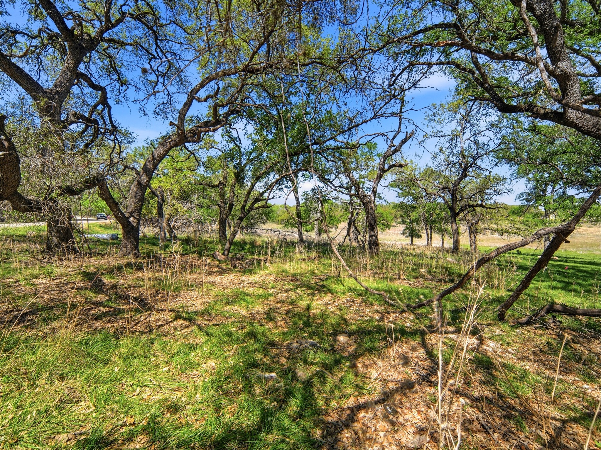 main property photo 19
