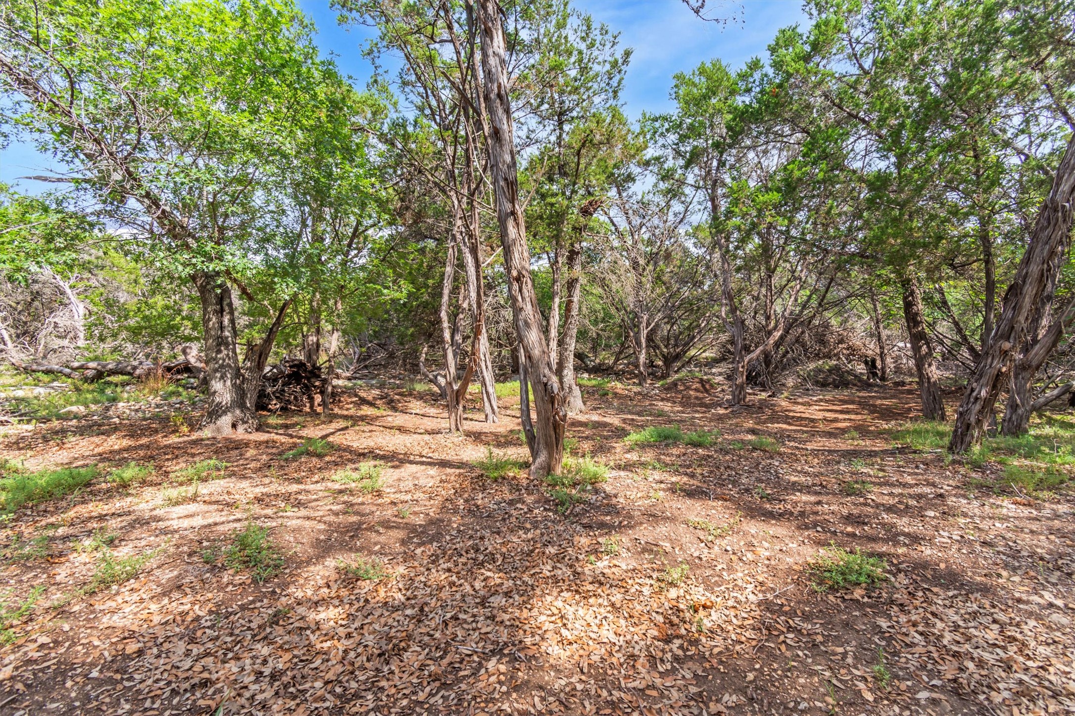 main property photo 25