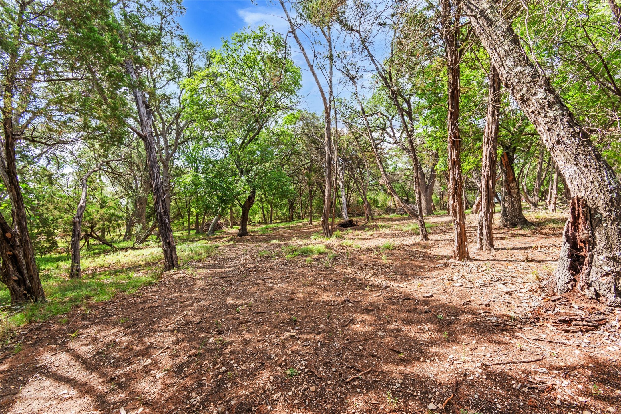 main property photo 26
