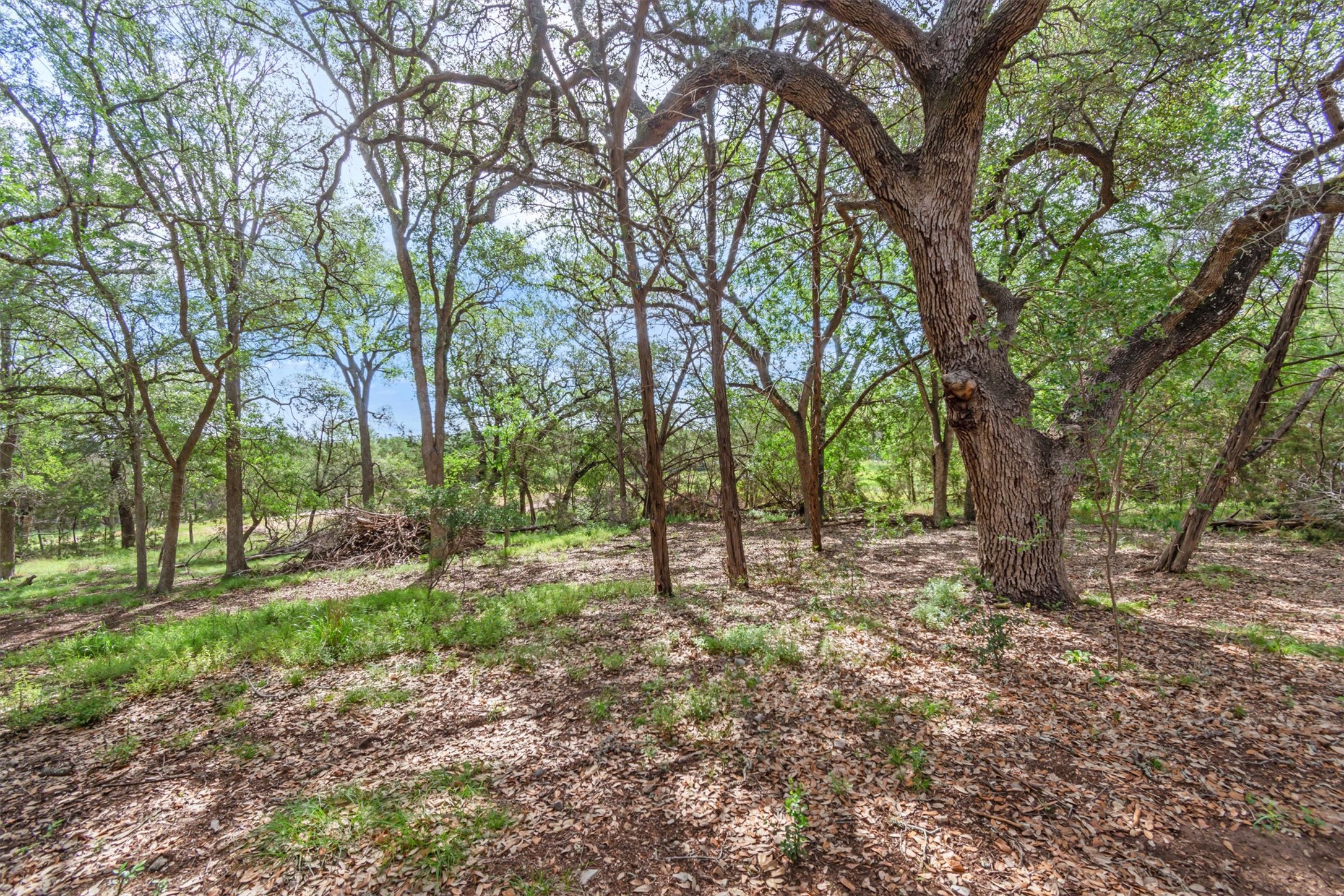 main property photo 31
