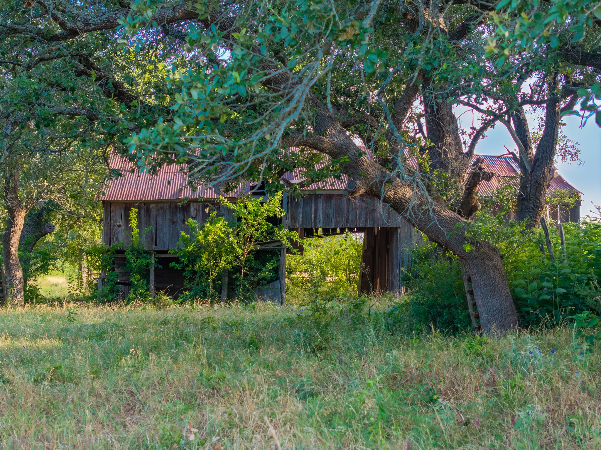 main property photo 24