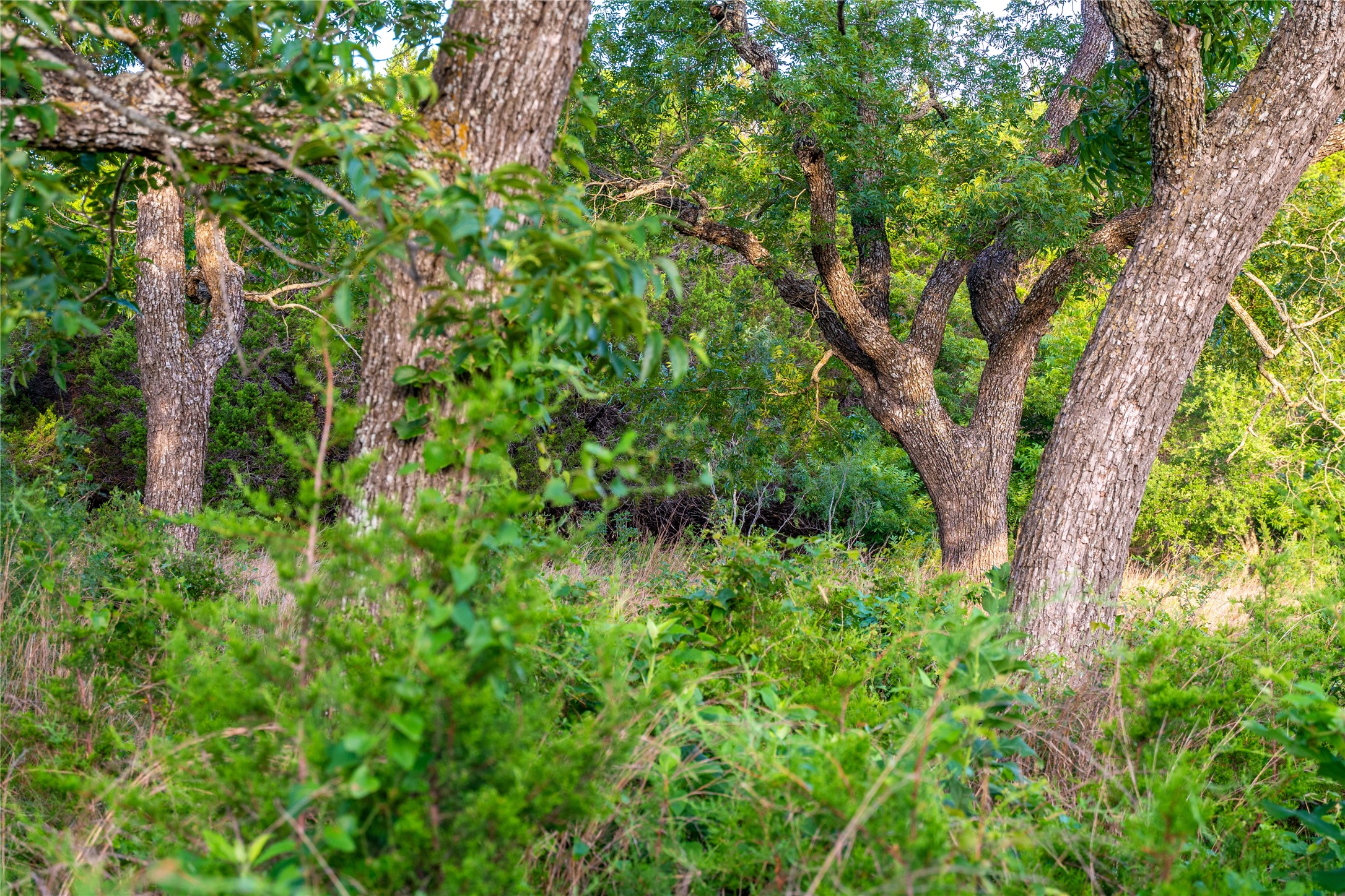main property photo 39