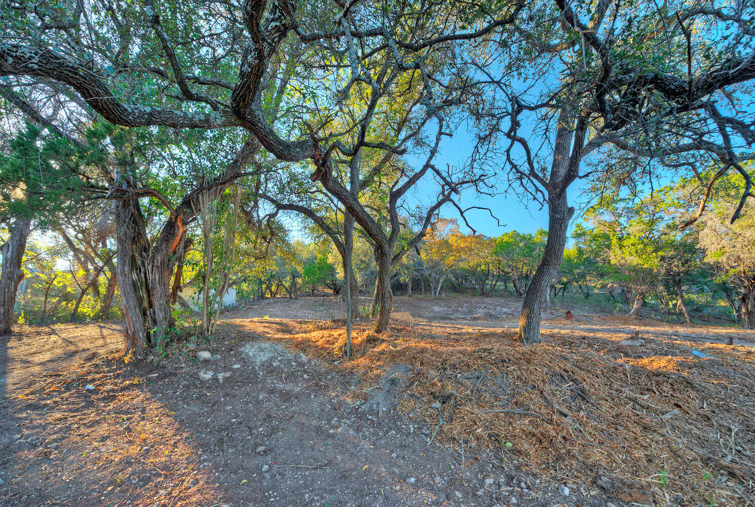 main property photo 19