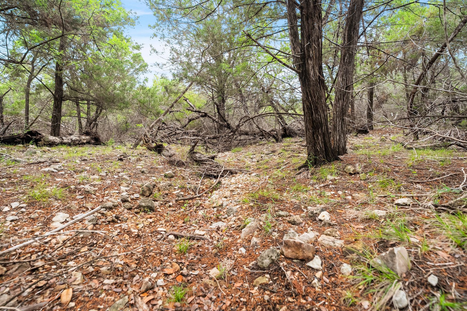 main property photo 10