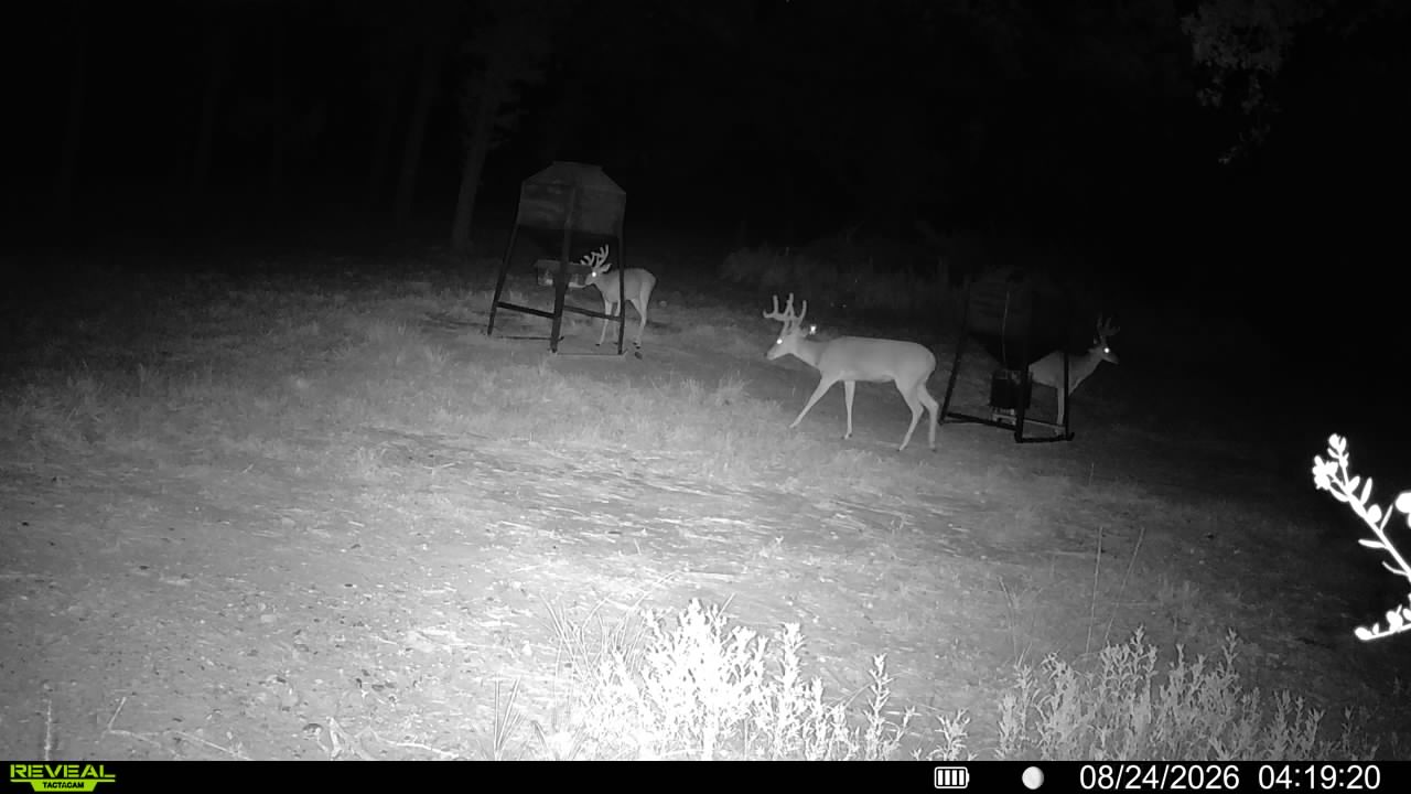 main property photo 36